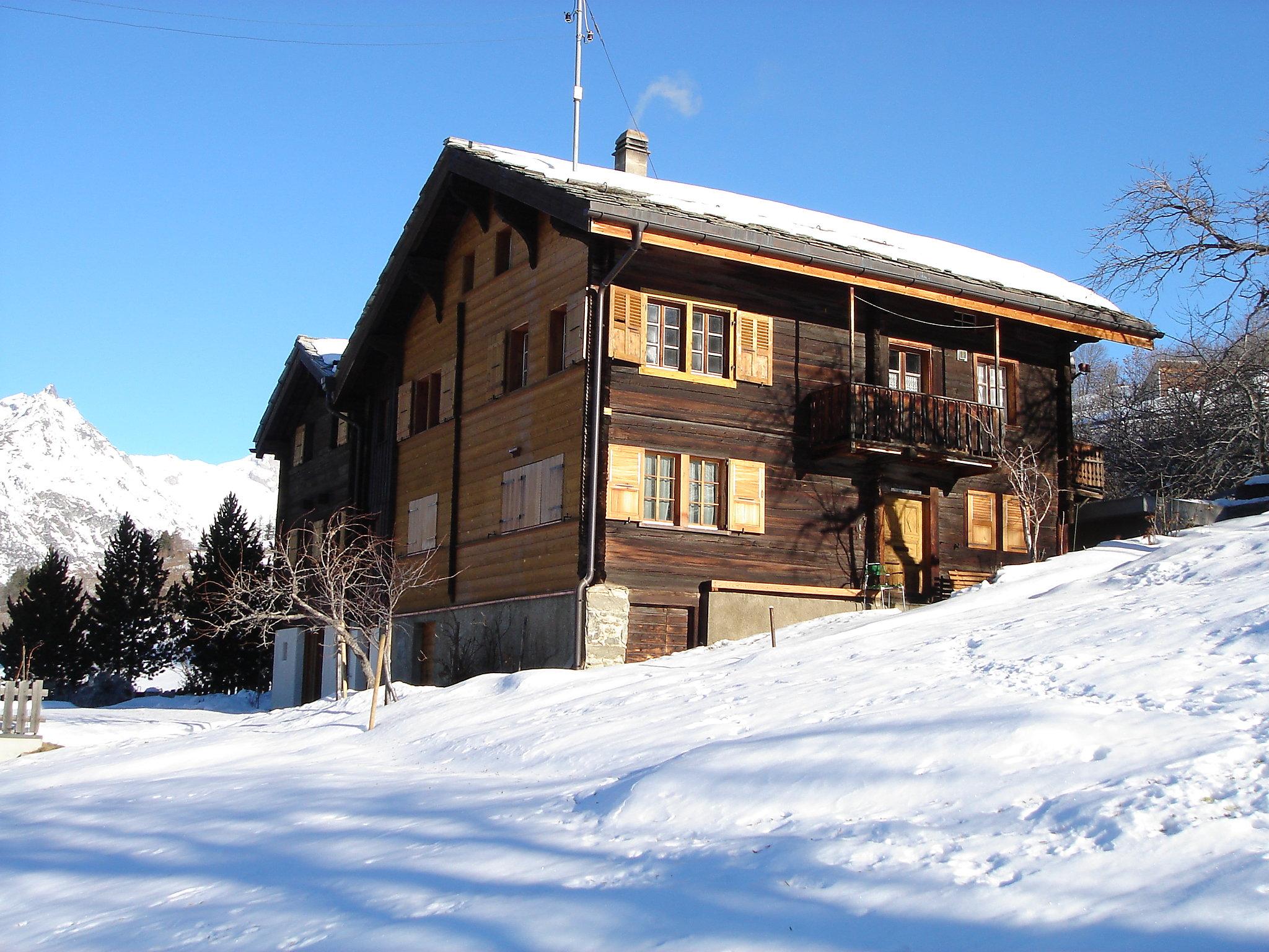 Foto 35 - Apartamento de 3 quartos em Bürchen com jardim e vista para a montanha