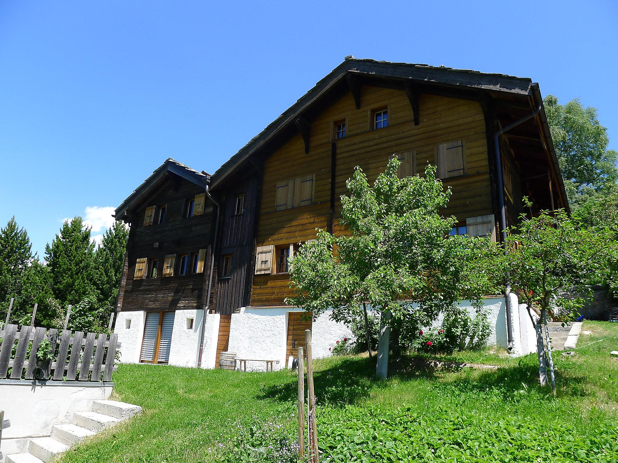 Photo 28 - Appartement de 3 chambres à Bürchen avec jardin