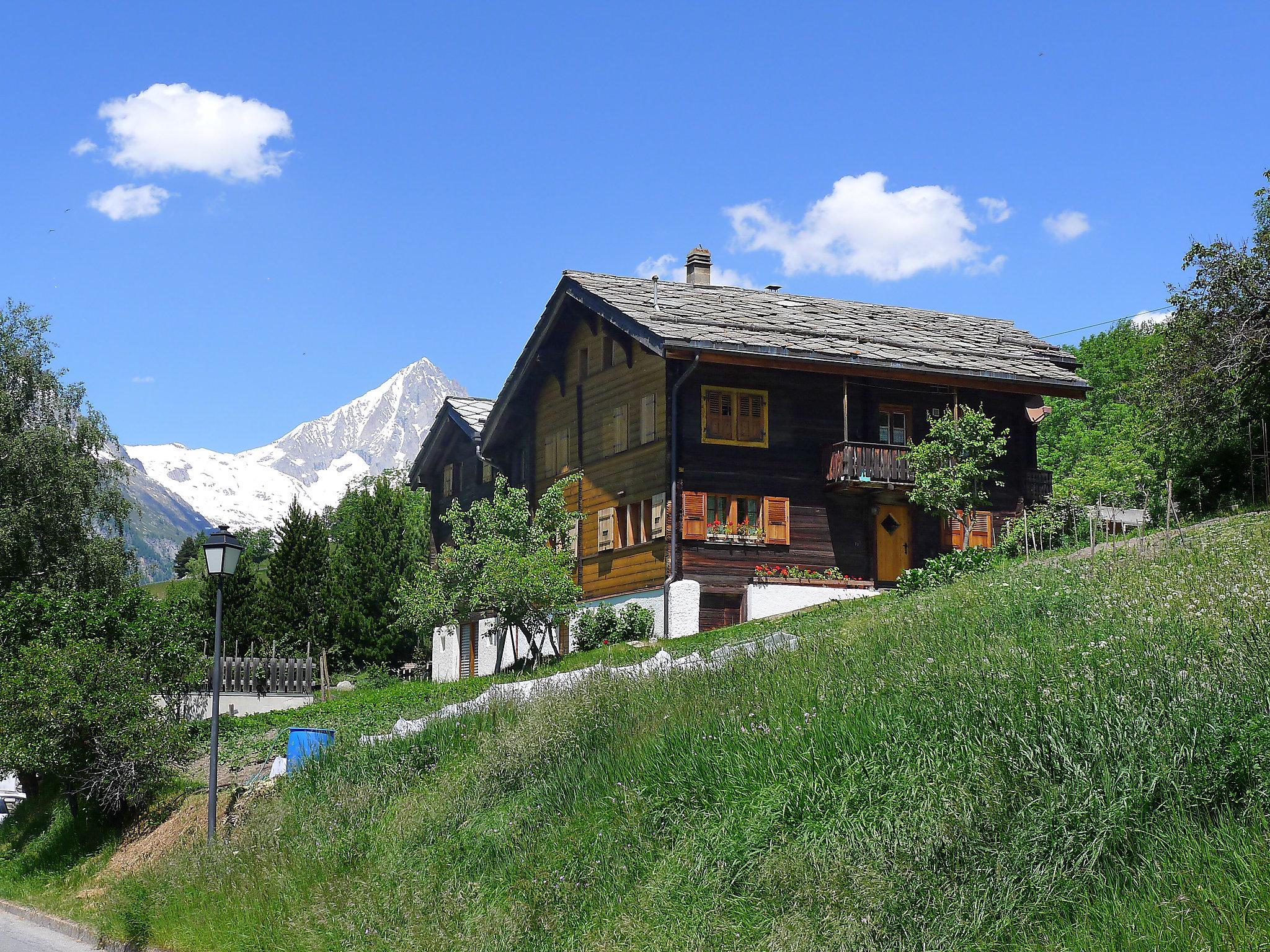 Photo 30 - Appartement de 3 chambres à Bürchen avec jardin