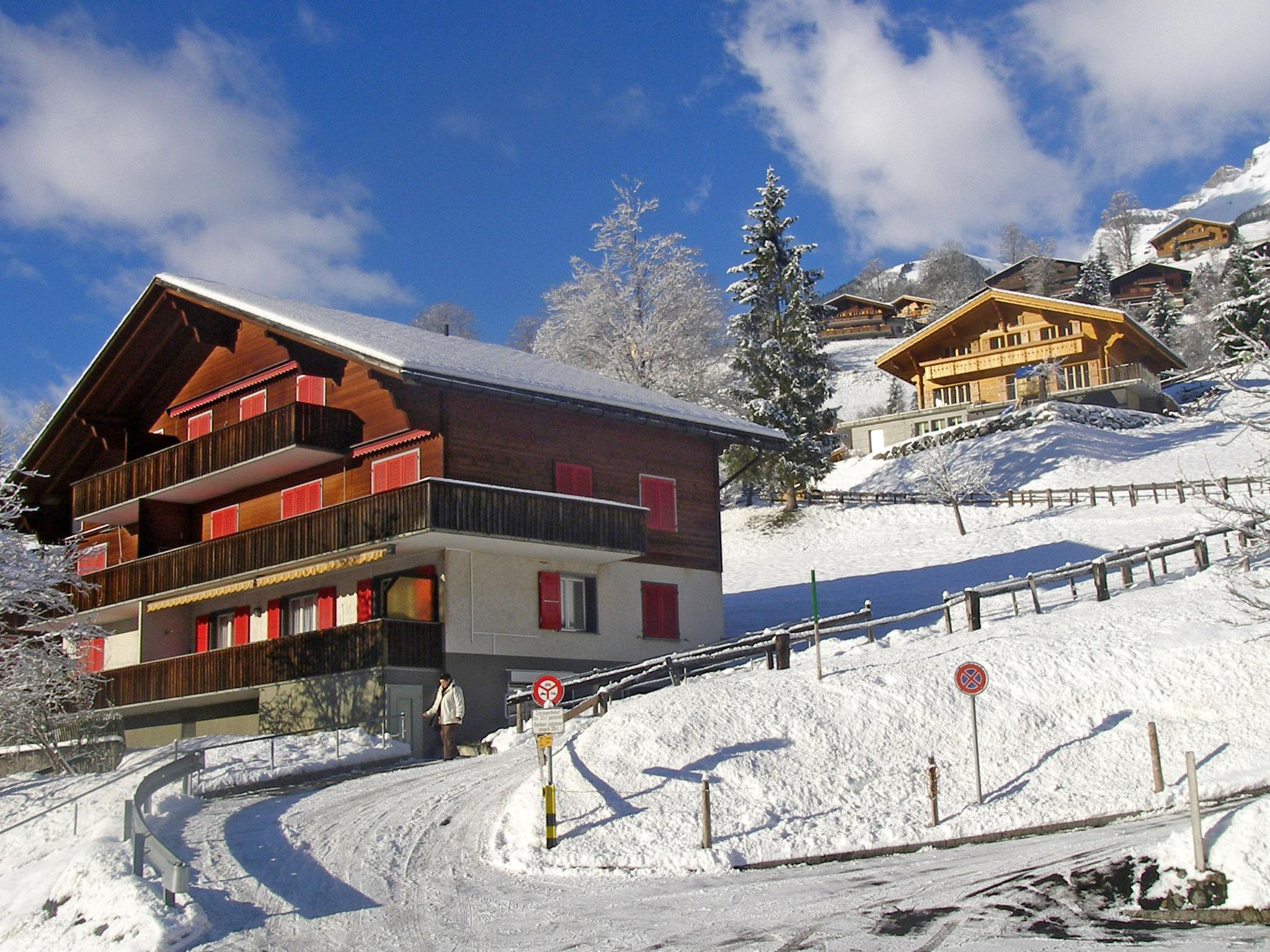 Foto 17 - Apartamento de 2 habitaciones en Grindelwald con vistas a la montaña