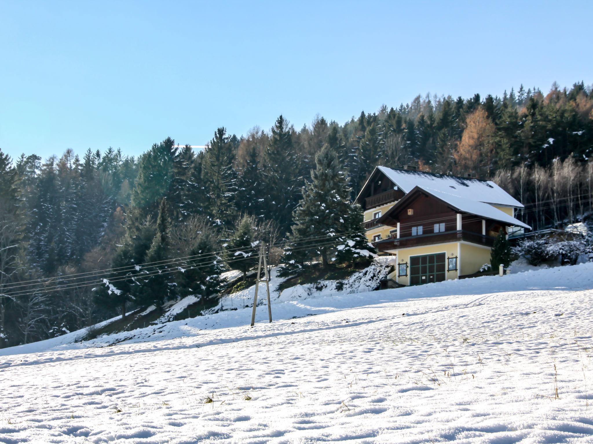 Foto 32 - Apartamento de 3 quartos em Magdalensberg com piscina e vista para a montanha