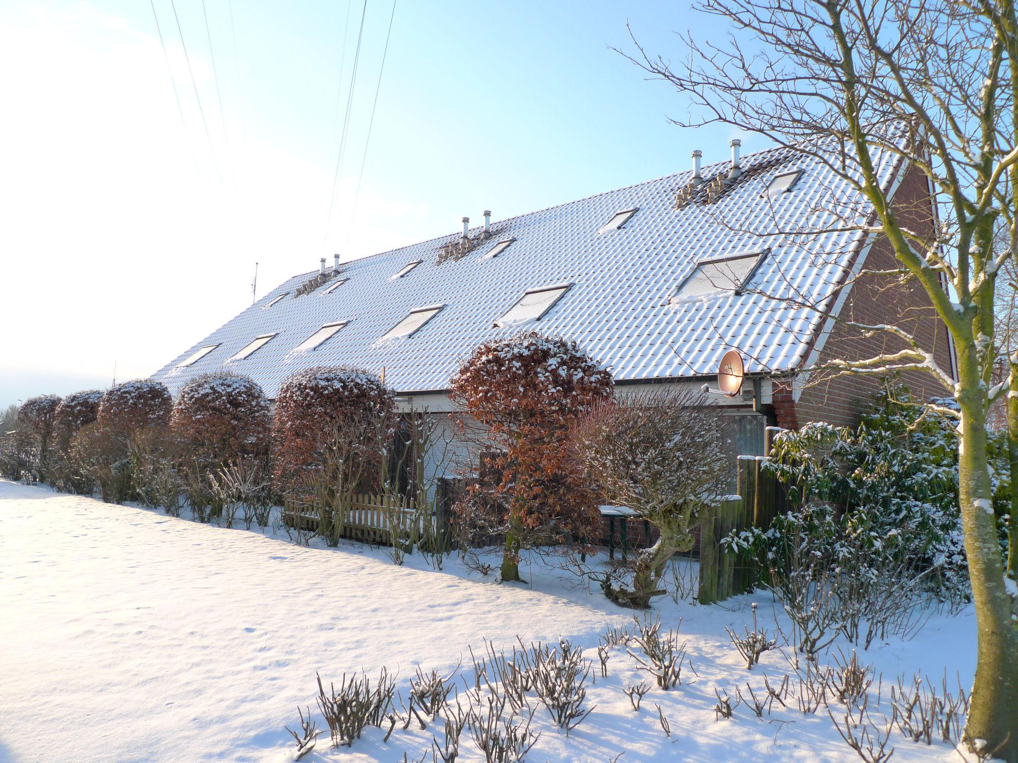 Photo 16 - 2 bedroom House in Norden with garden and terrace