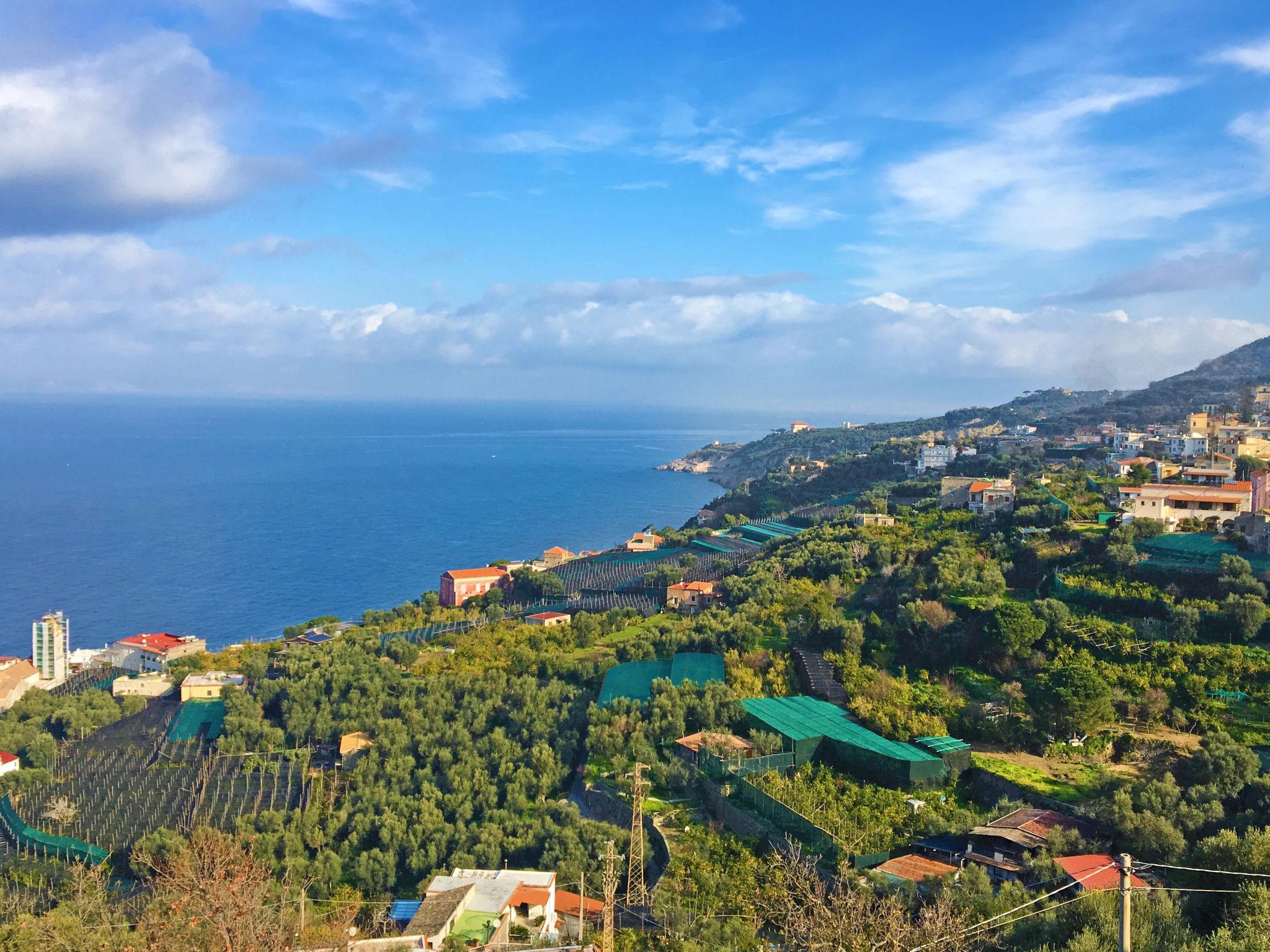 Photo 26 - 1 bedroom Apartment in Massa Lubrense with terrace and sea view