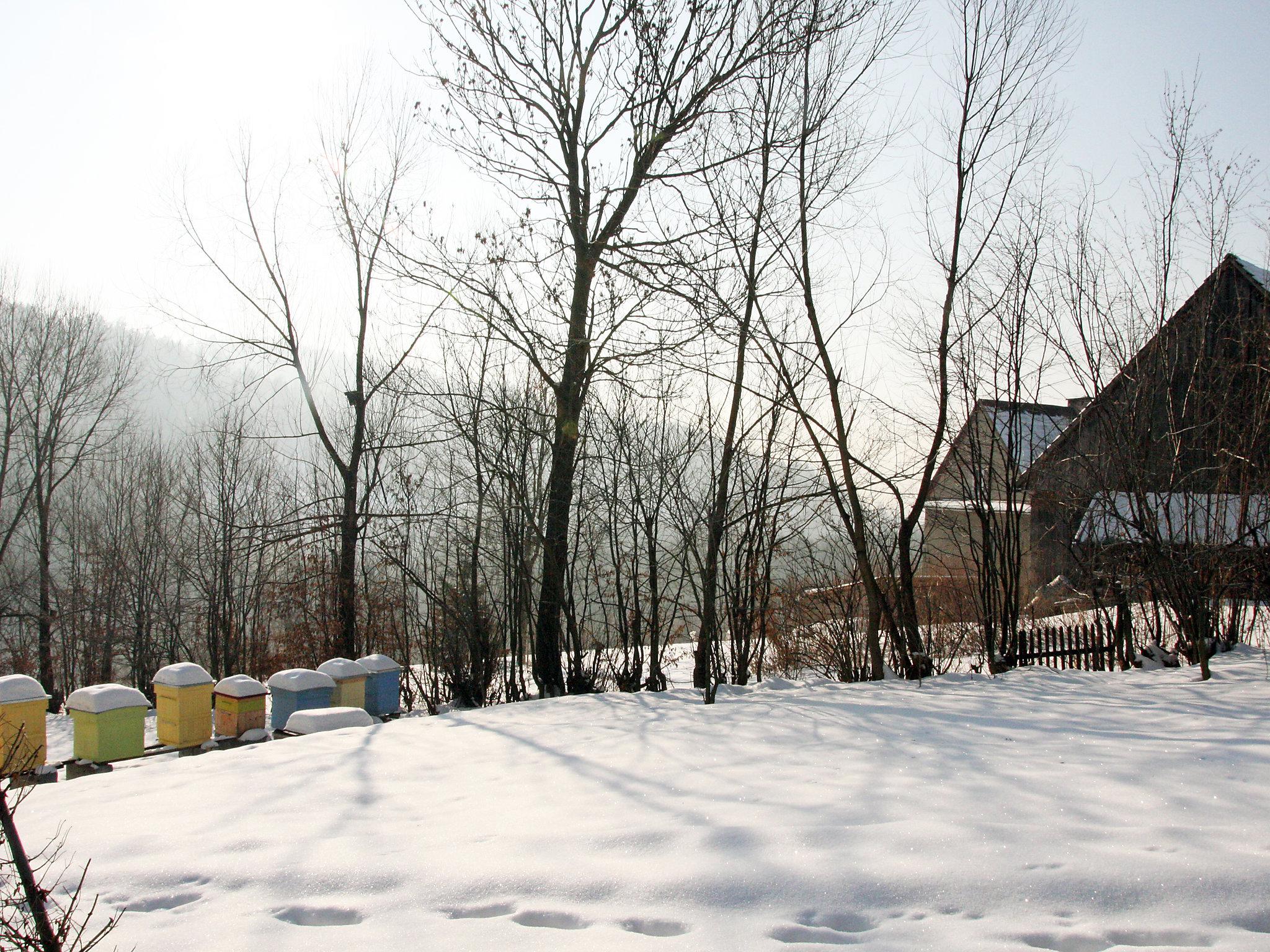 Foto 36 - Casa con 3 camere da letto a Budzów con giardino e vista sulle montagne