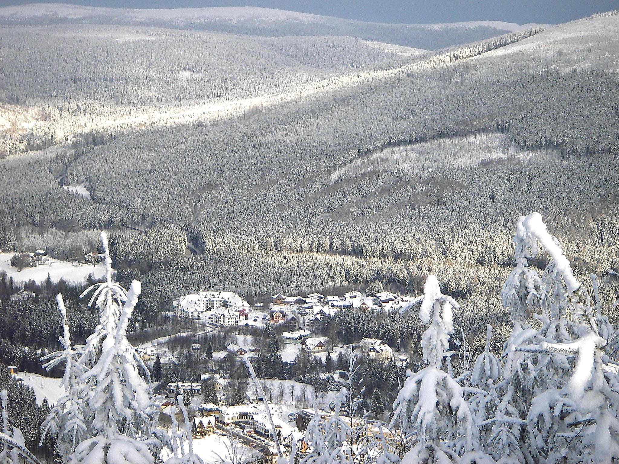 Foto 19 - Appartamento con 1 camera da letto a Harrachov