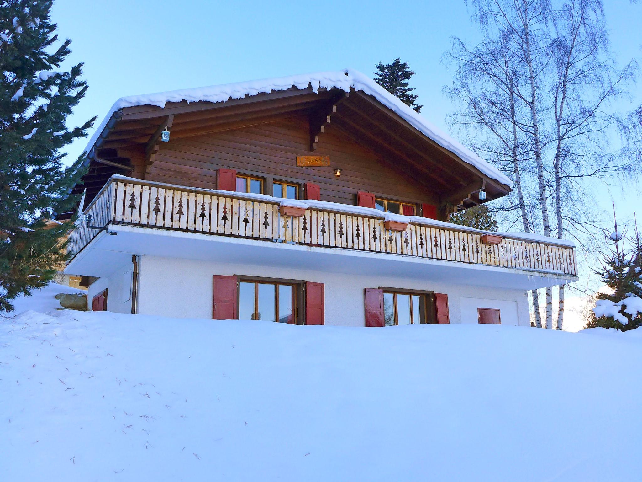 Foto 40 - Casa de 3 quartos em Nendaz com jardim e terraço