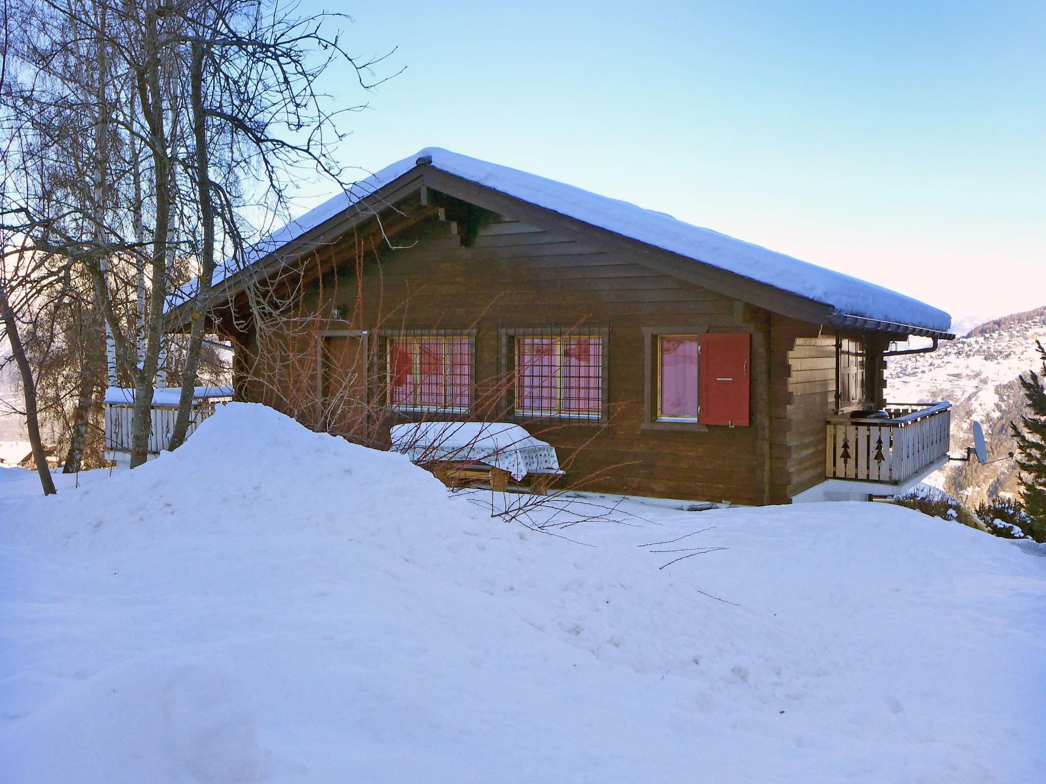 Foto 39 - Casa de 3 quartos em Nendaz com jardim e vista para a montanha