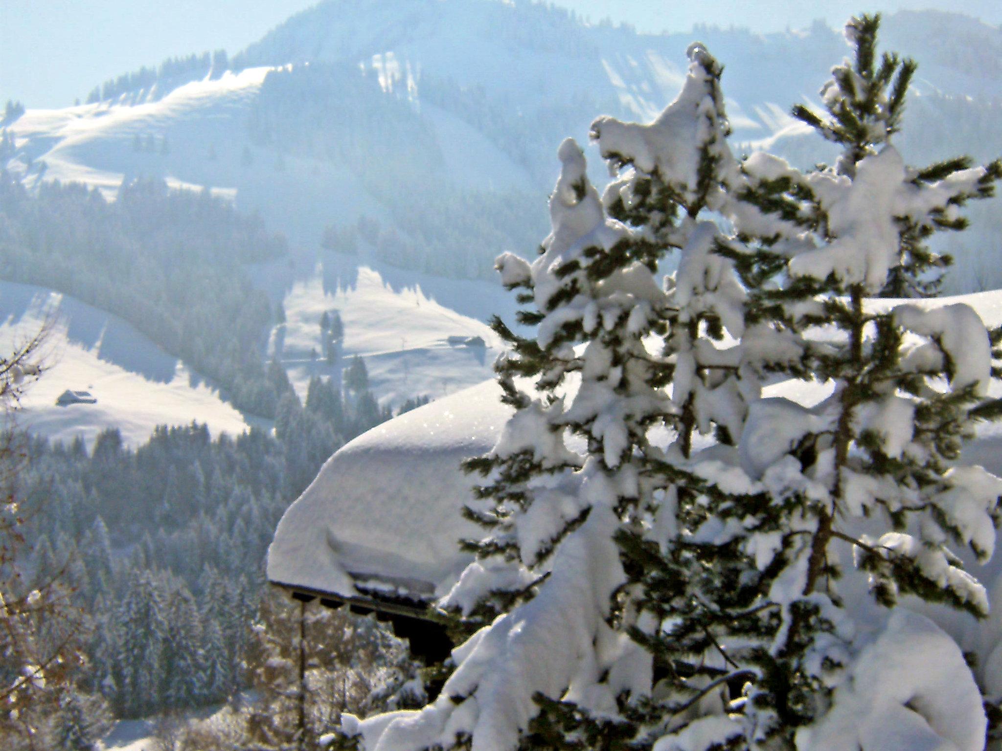 Photo 20 - Maison de 3 chambres à Gruyères avec jardin et vues sur la montagne