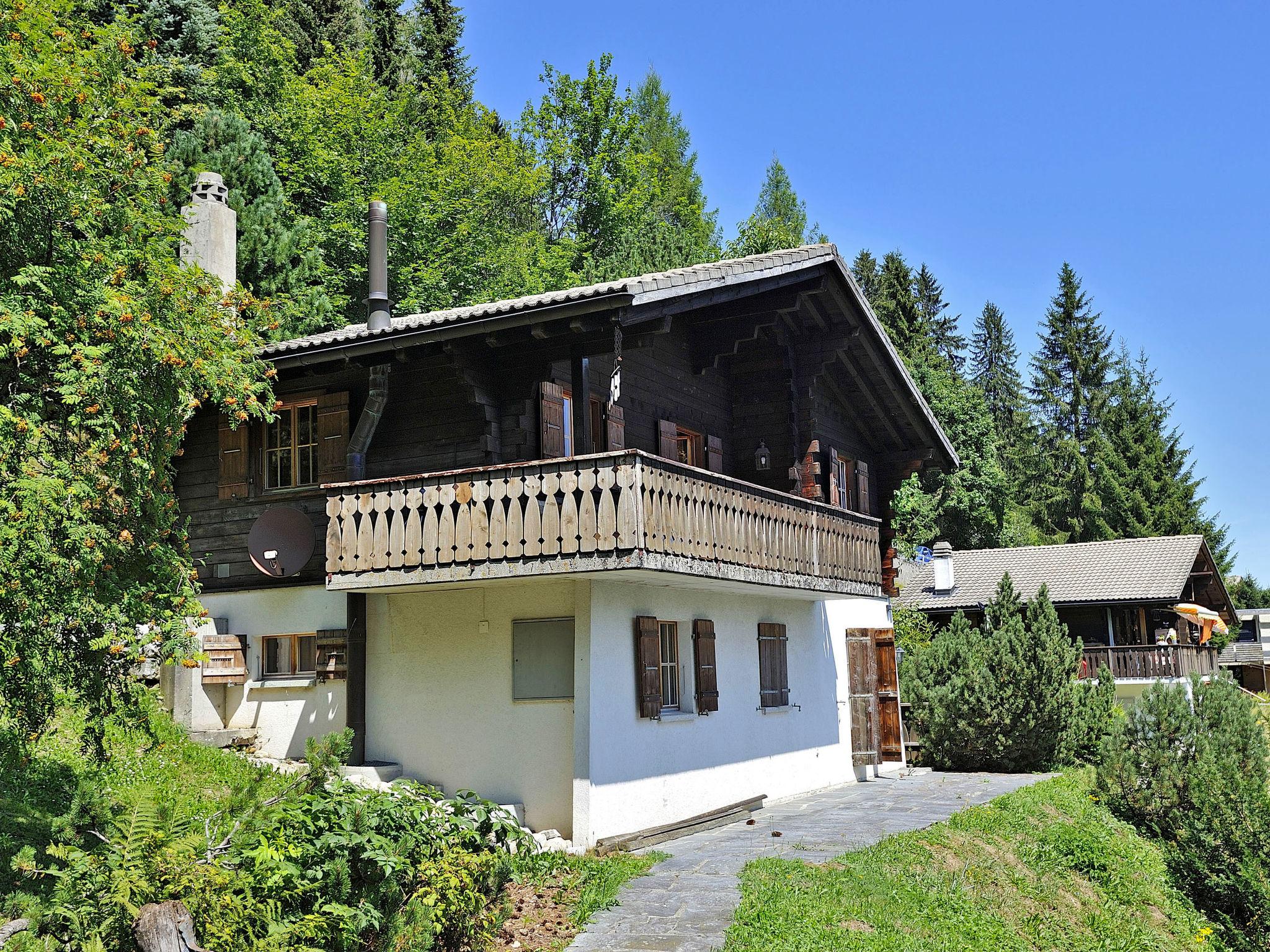 Foto 21 - Casa con 3 camere da letto a Gruyères con giardino e terrazza