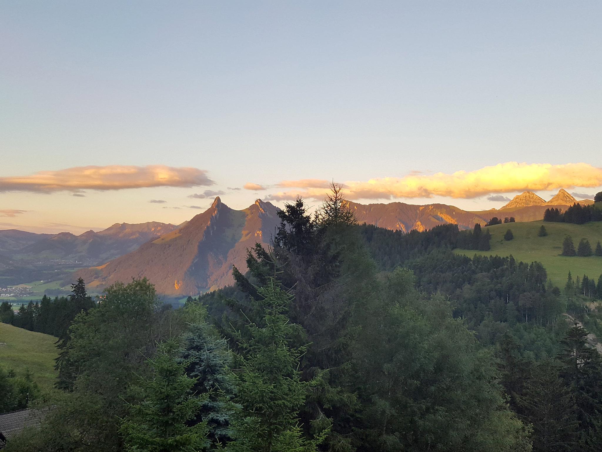 Foto 17 - Casa de 3 quartos em Gruyères com jardim e vista para a montanha