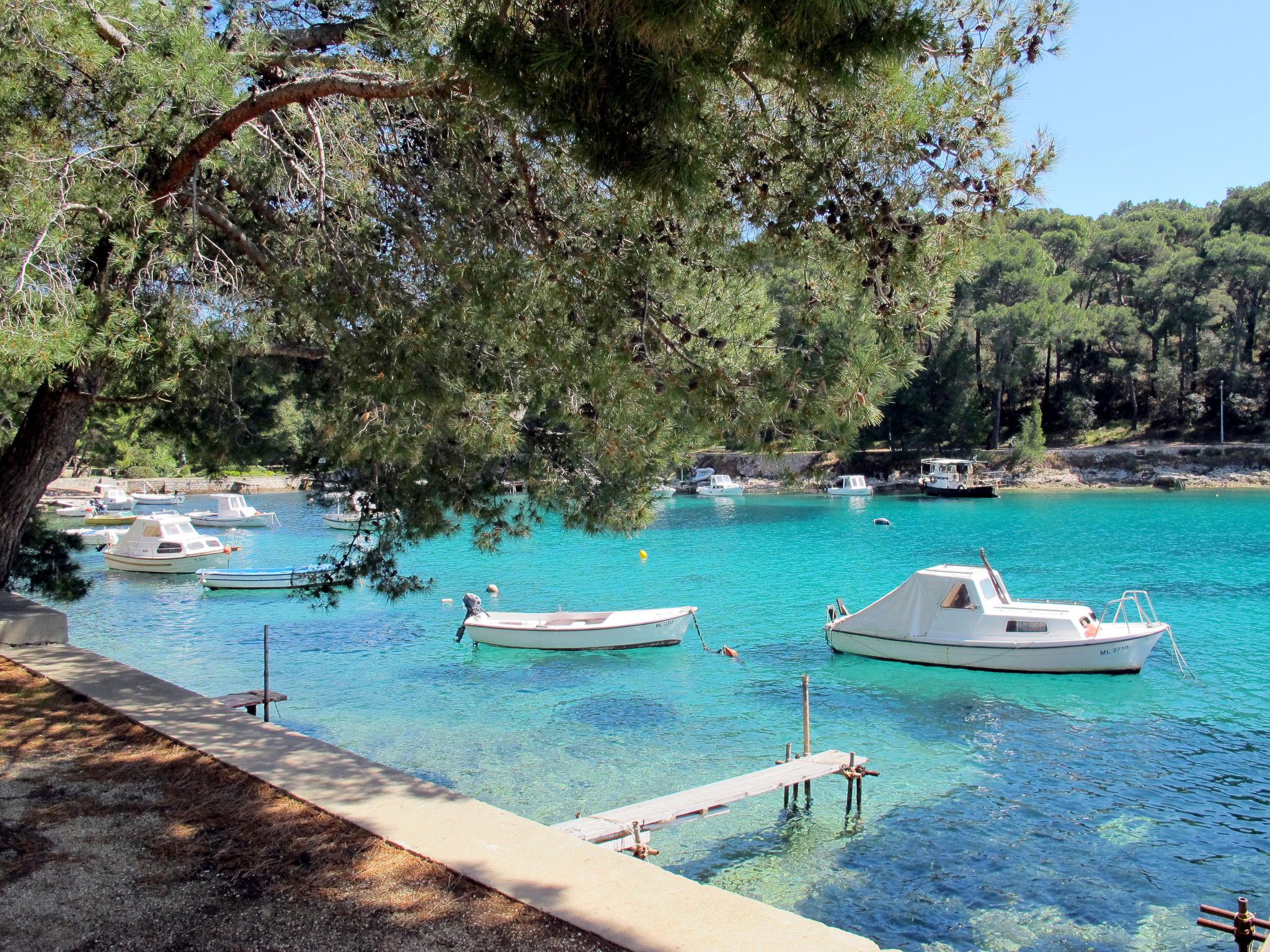 Foto 19 - Casa de 4 quartos em Mali Lošinj com terraço