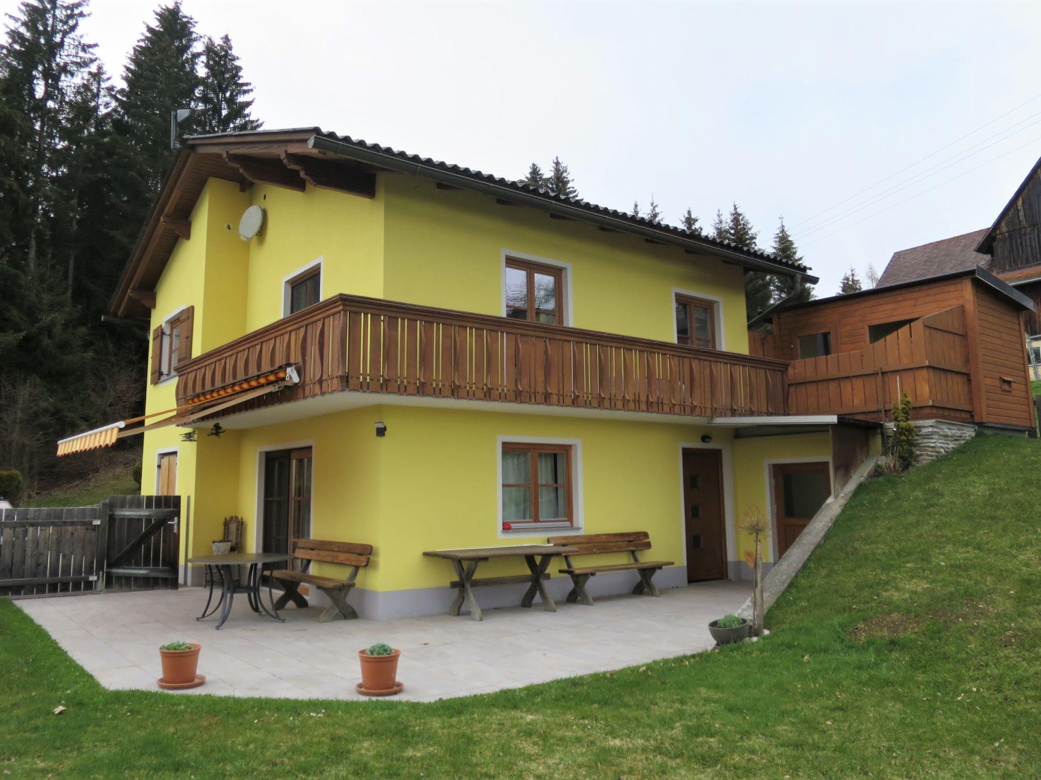 Foto 22 - Casa de 3 habitaciones en Wolfsberg con jardín y vistas a la montaña