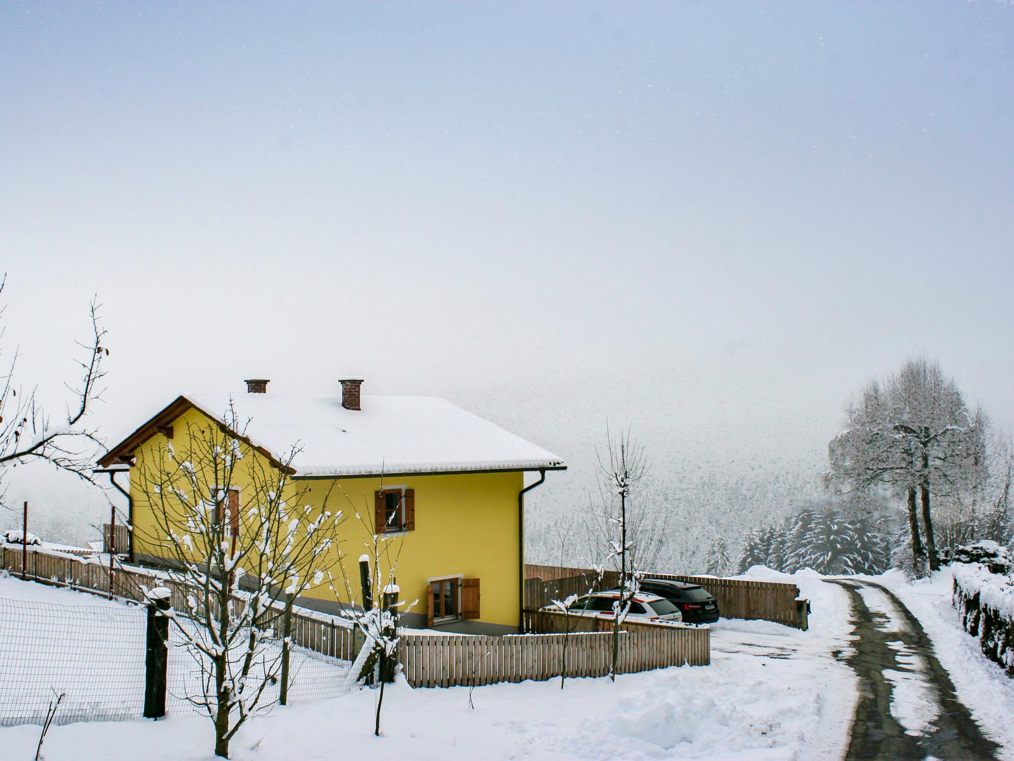 Foto 17 - Casa con 3 camere da letto a Wolfsberg con giardino e vista sulle montagne