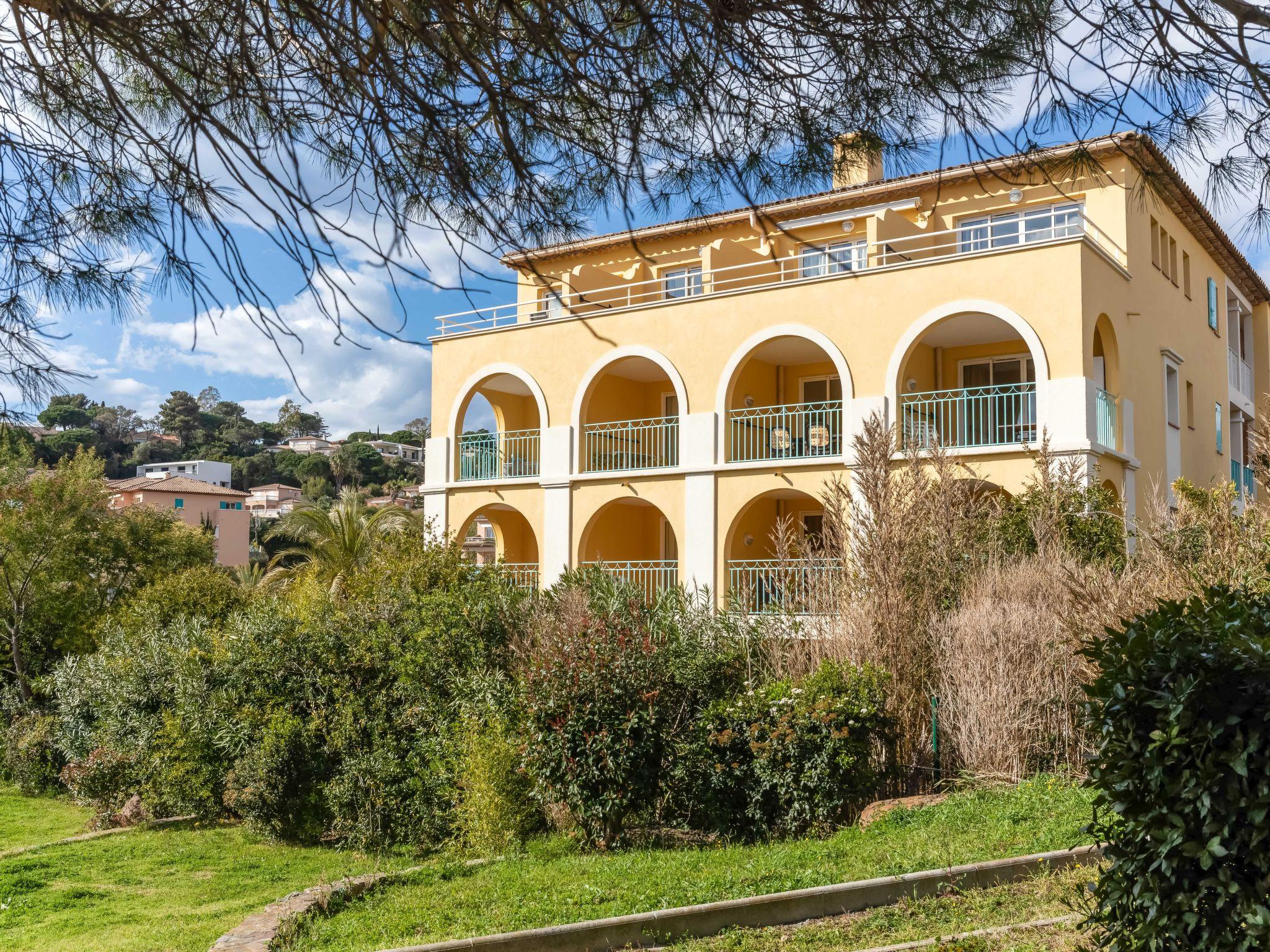 Foto 14 - Apartamento de 1 habitación en Roquebrune-sur-Argens con piscina y jardín