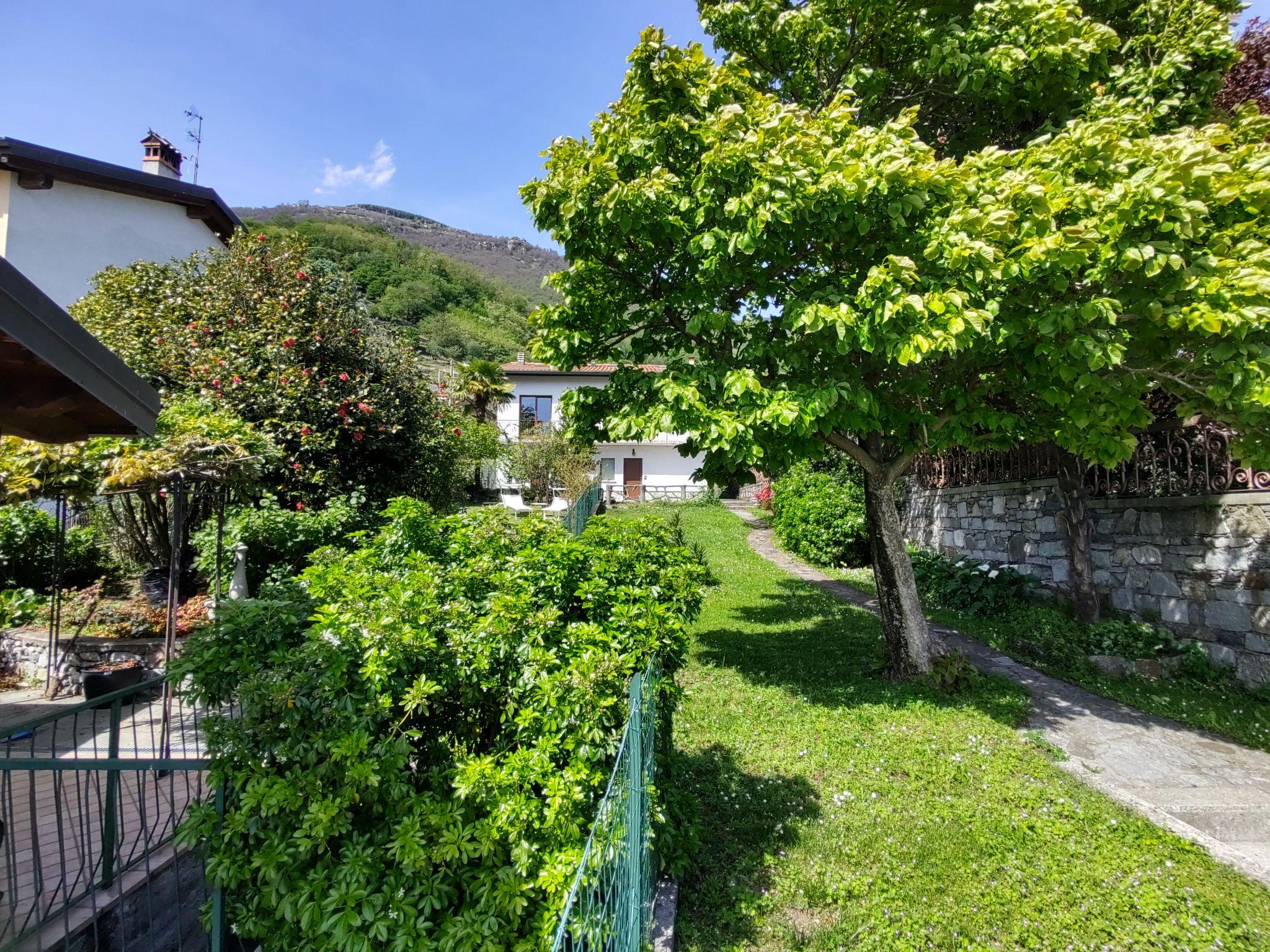 Foto 16 - Appartamento con 1 camera da letto a Gera Lario con giardino e terrazza