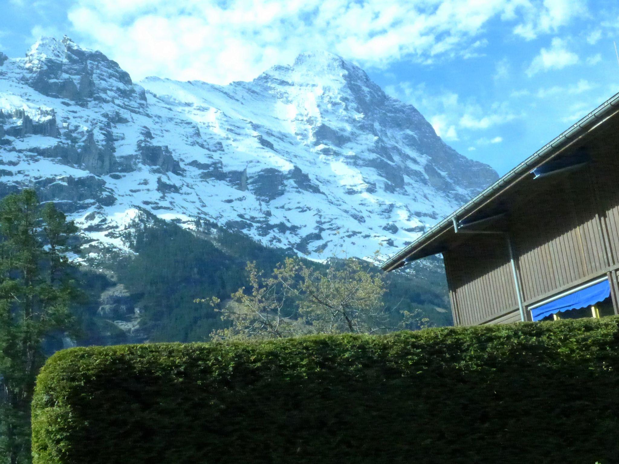 Foto 8 - Apartamento en Grindelwald con jardín y vistas a la montaña