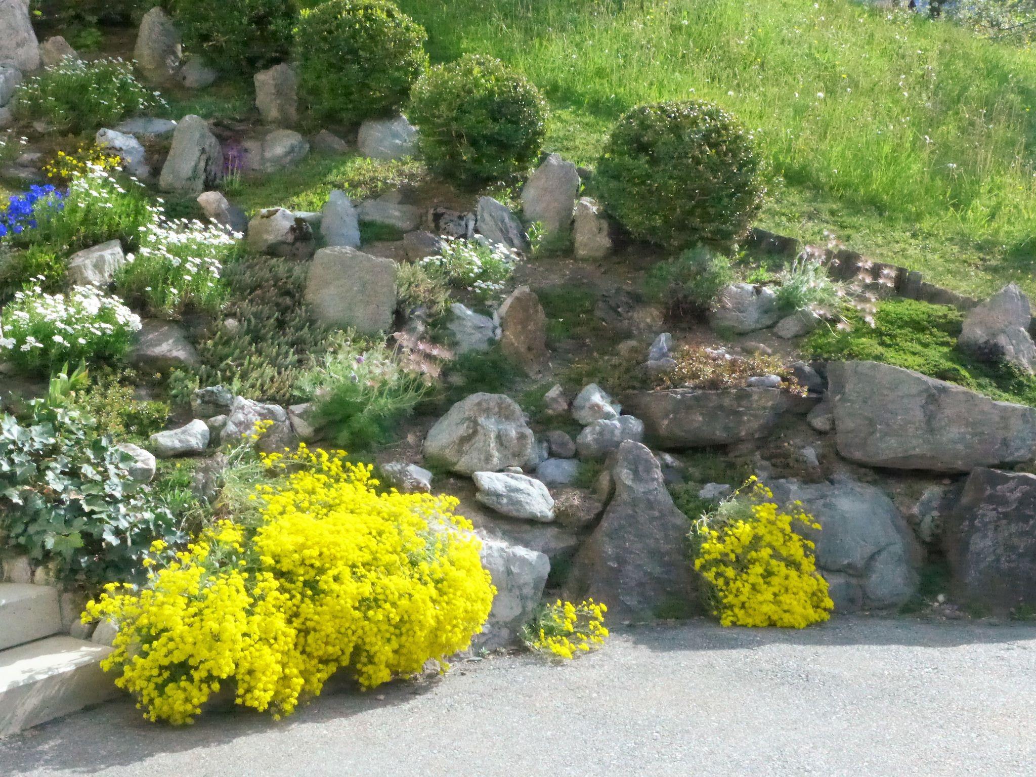 Foto 7 - Appartamento a Grindelwald con giardino e vista sulle montagne