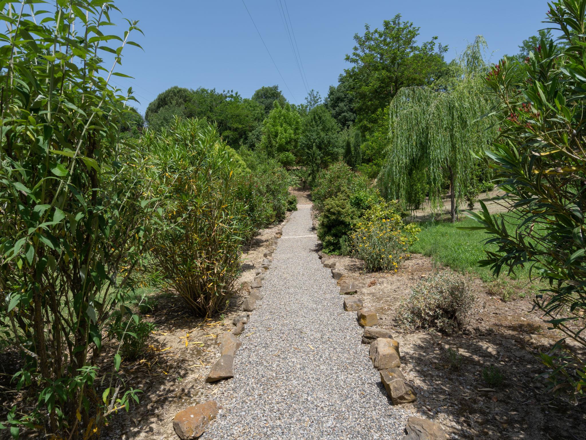 Photo 38 - Maison de 5 chambres à Montevarchi avec piscine privée et jardin