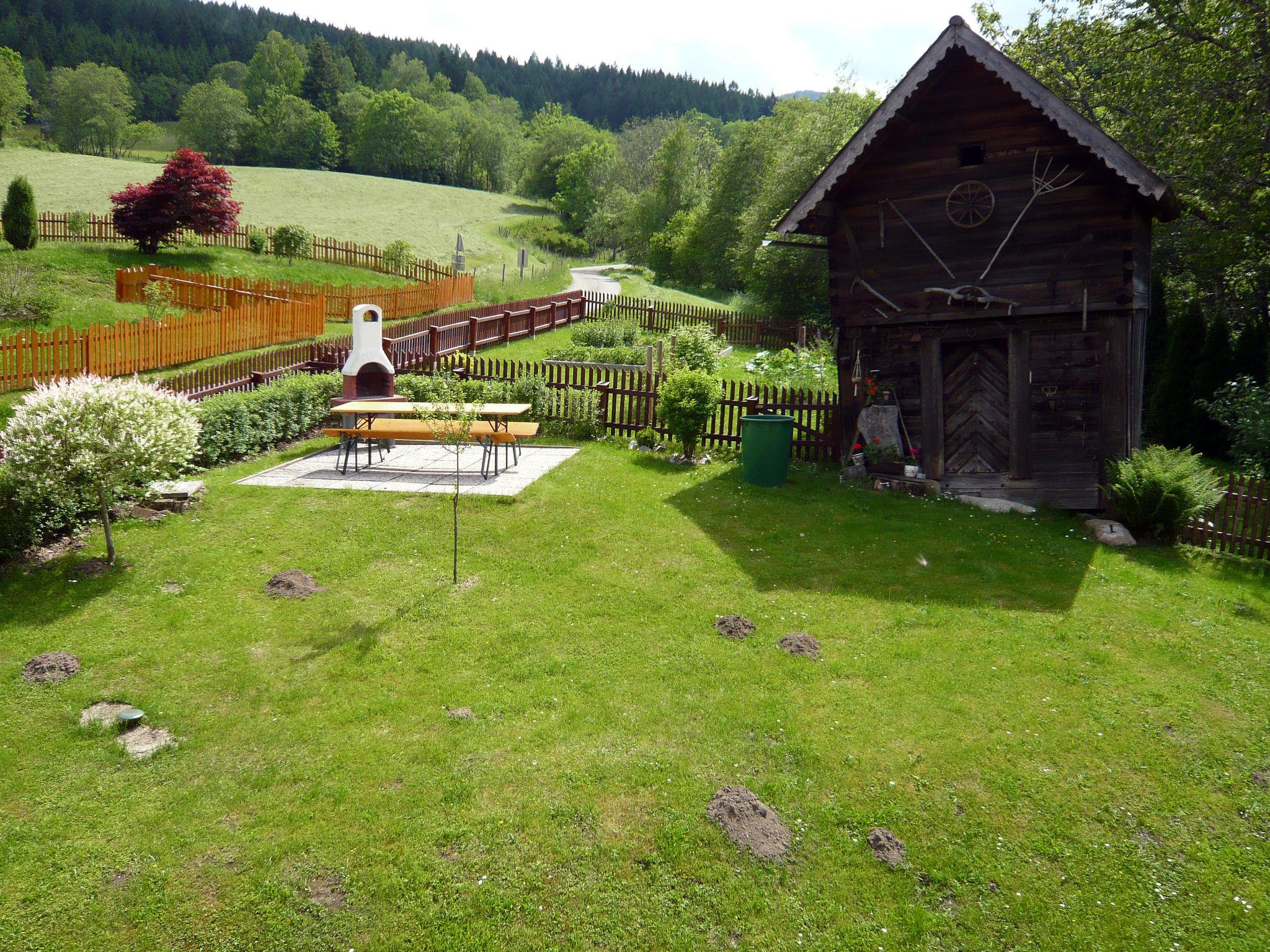 Foto 2 - Casa con 4 camere da letto a Öblarn con giardino