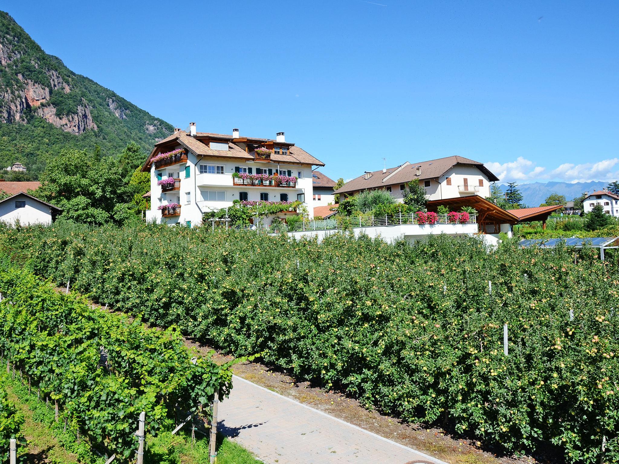 Foto 32 - Appartamento con 1 camera da letto a Andriano con piscina e vista sulle montagne