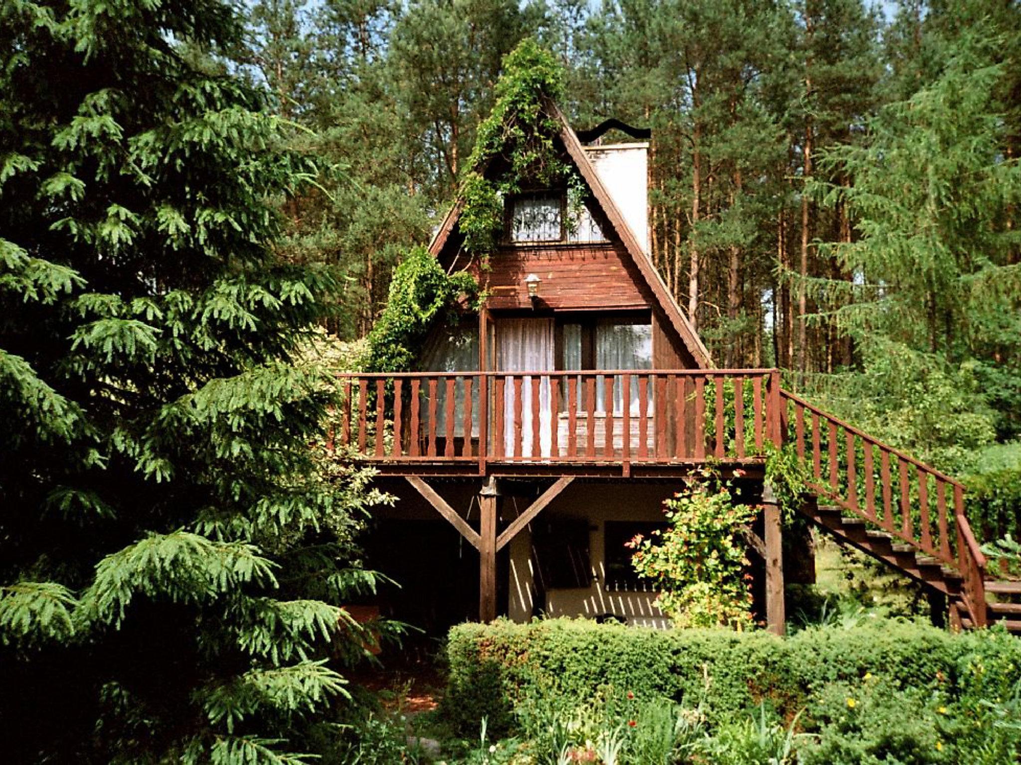 Photo 6 - Maison de 3 chambres à Sulęczyno avec jardin et terrasse