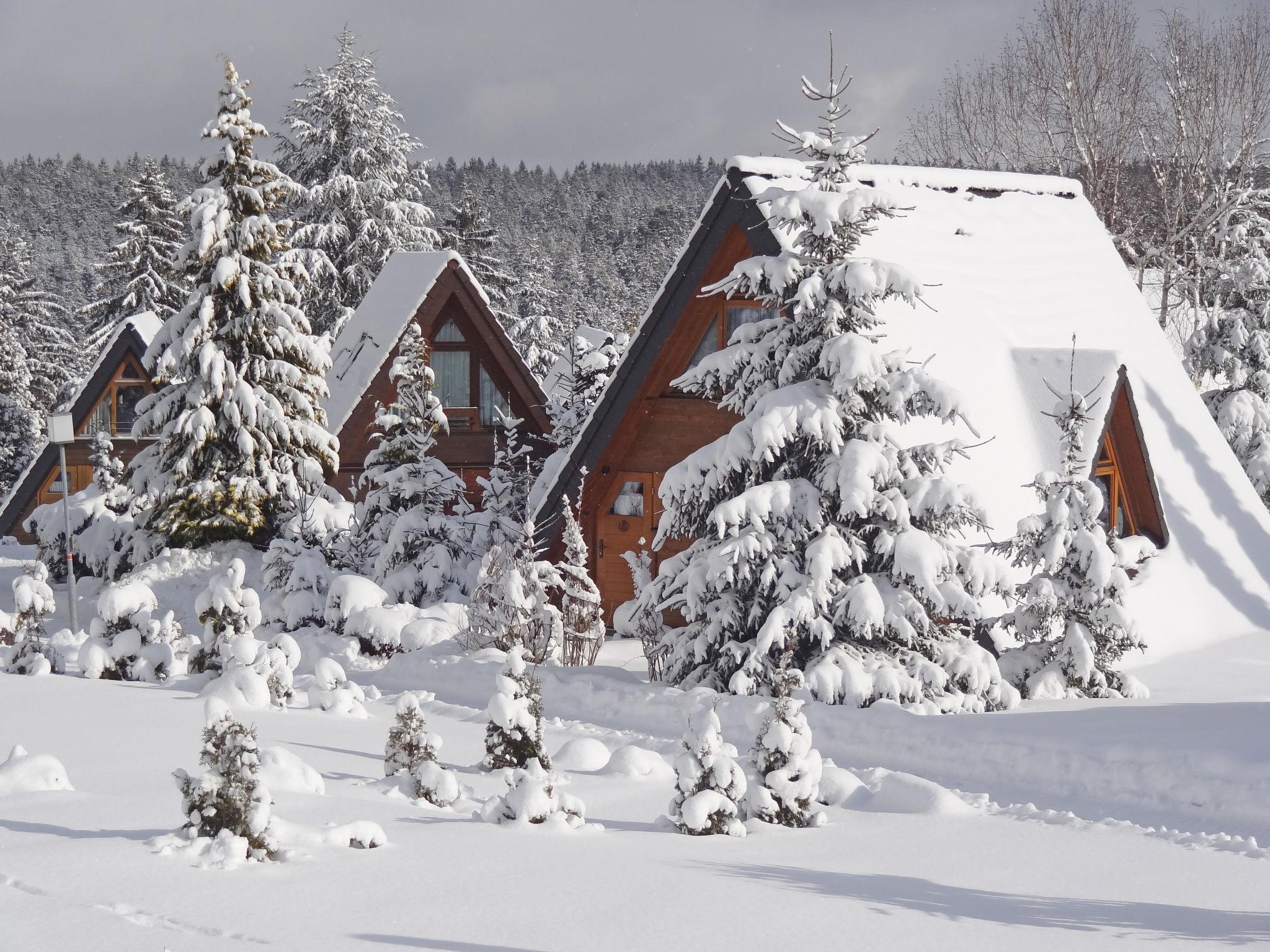 Photo 10 - Maison de 1 chambre à Schramberg avec terrasse et vues sur la montagne