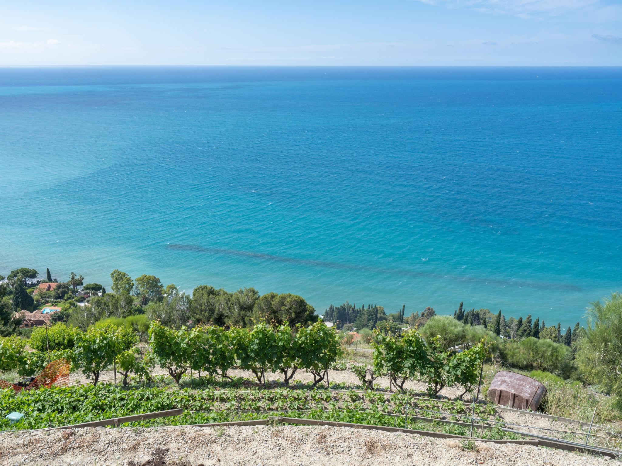 Foto 19 - Appartamento con 2 camere da letto a Ventimiglia con piscina privata e giardino