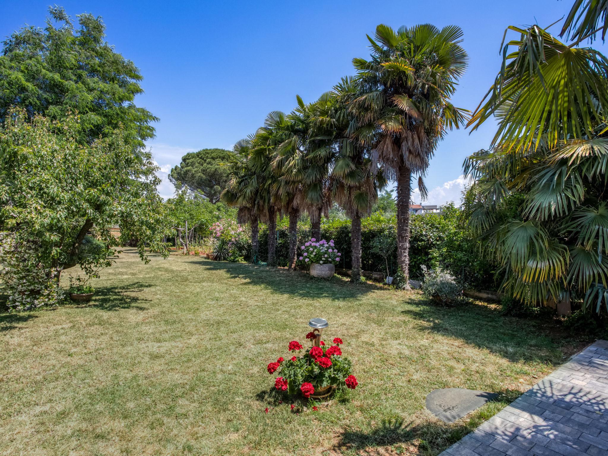 Photo 21 - 1 bedroom Apartment in Novigrad with garden and sea view