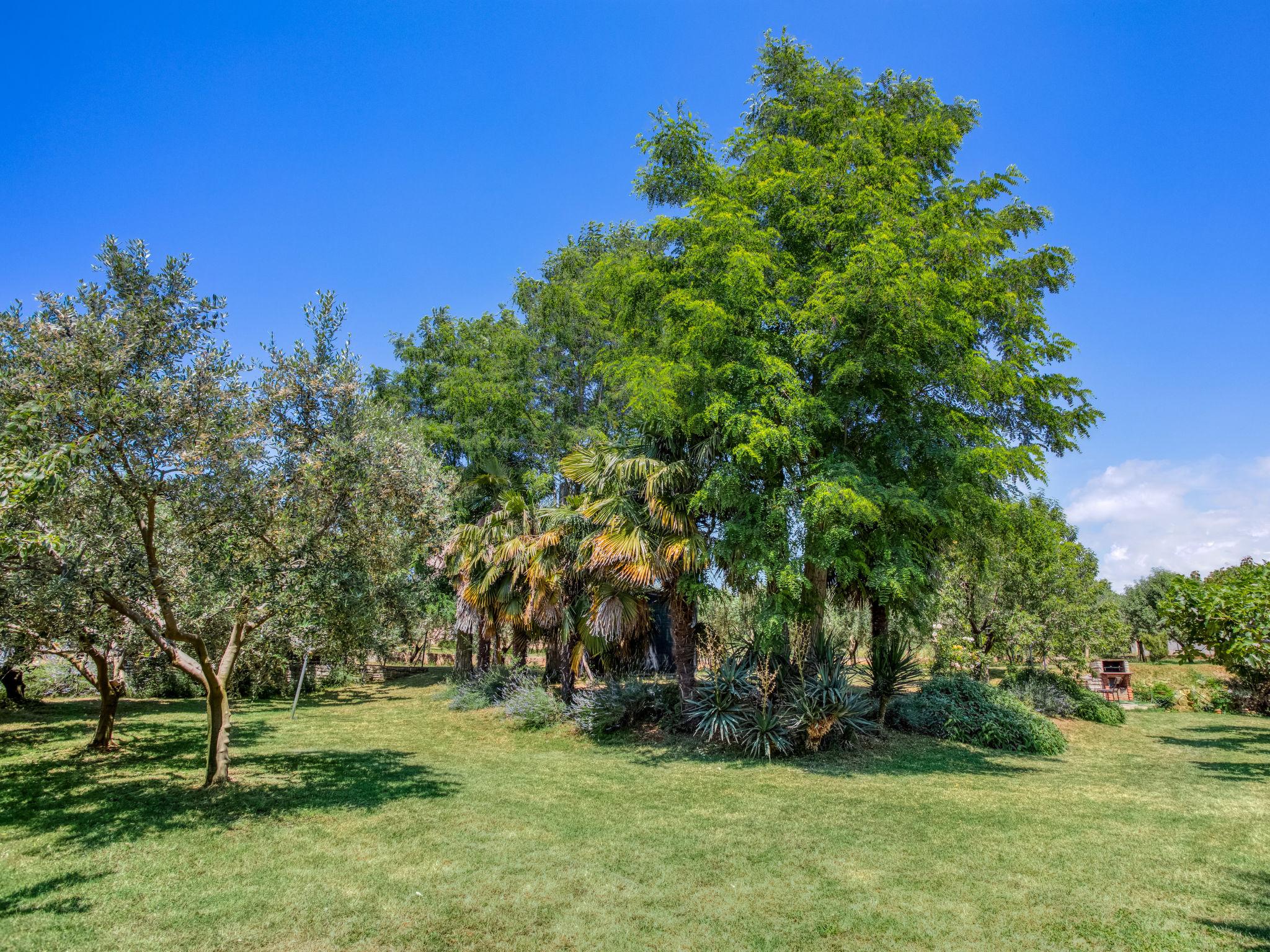 Foto 30 - Appartamento con 1 camera da letto a Novigrad con giardino e terrazza