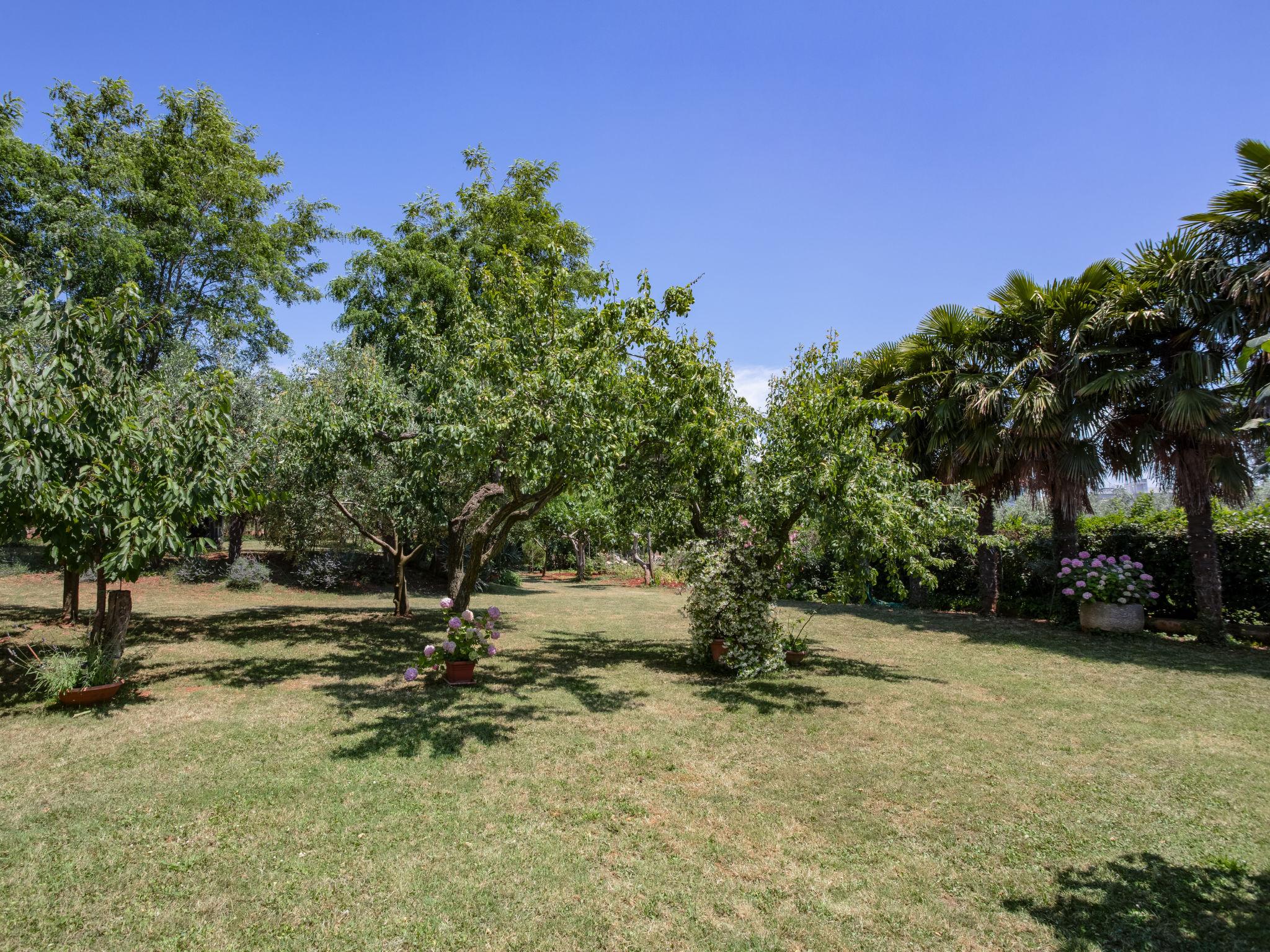 Photo 25 - 1 bedroom Apartment in Novigrad with garden and sea view