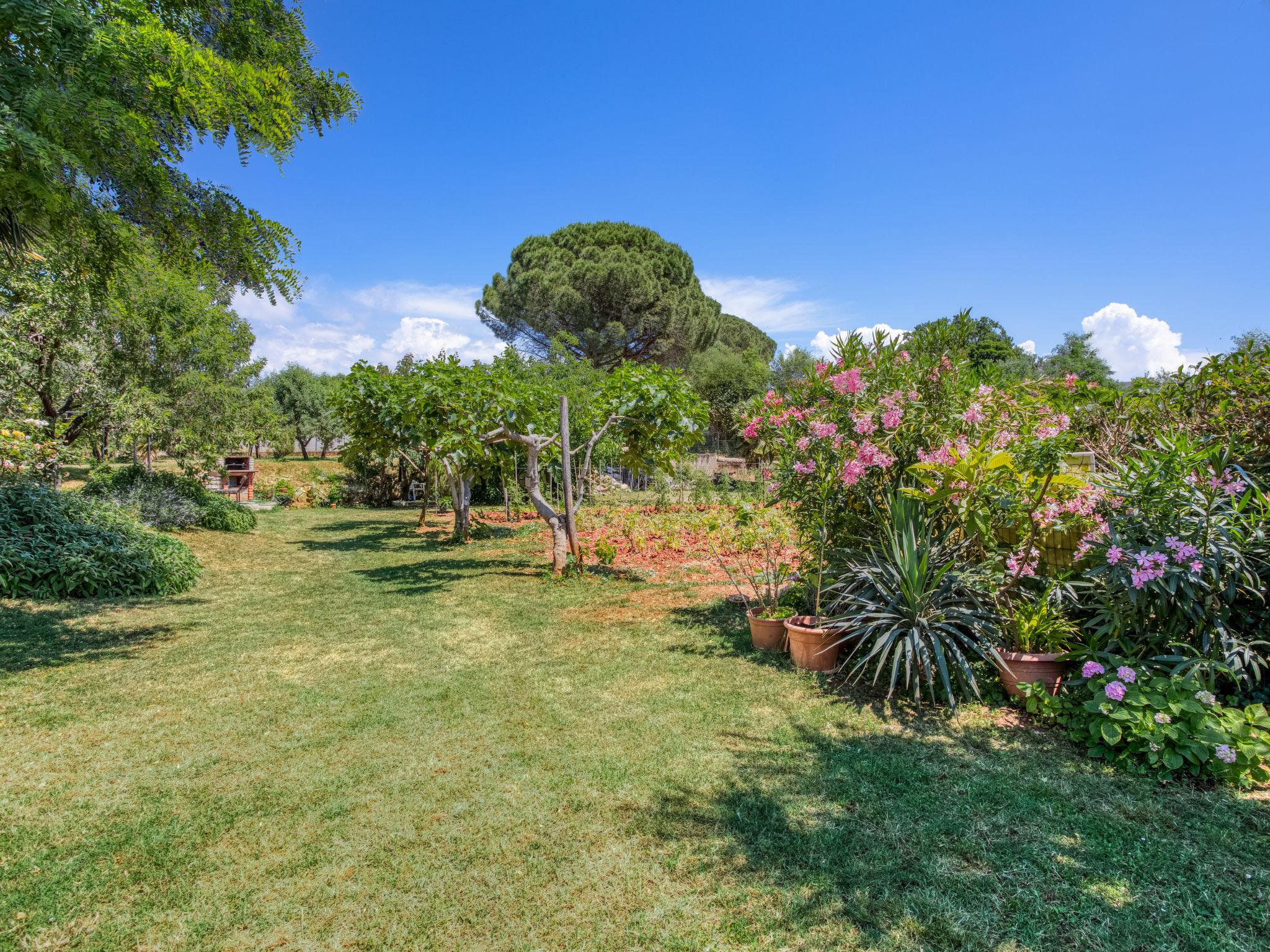 Foto 22 - Appartamento con 1 camera da letto a Novigrad con giardino e terrazza