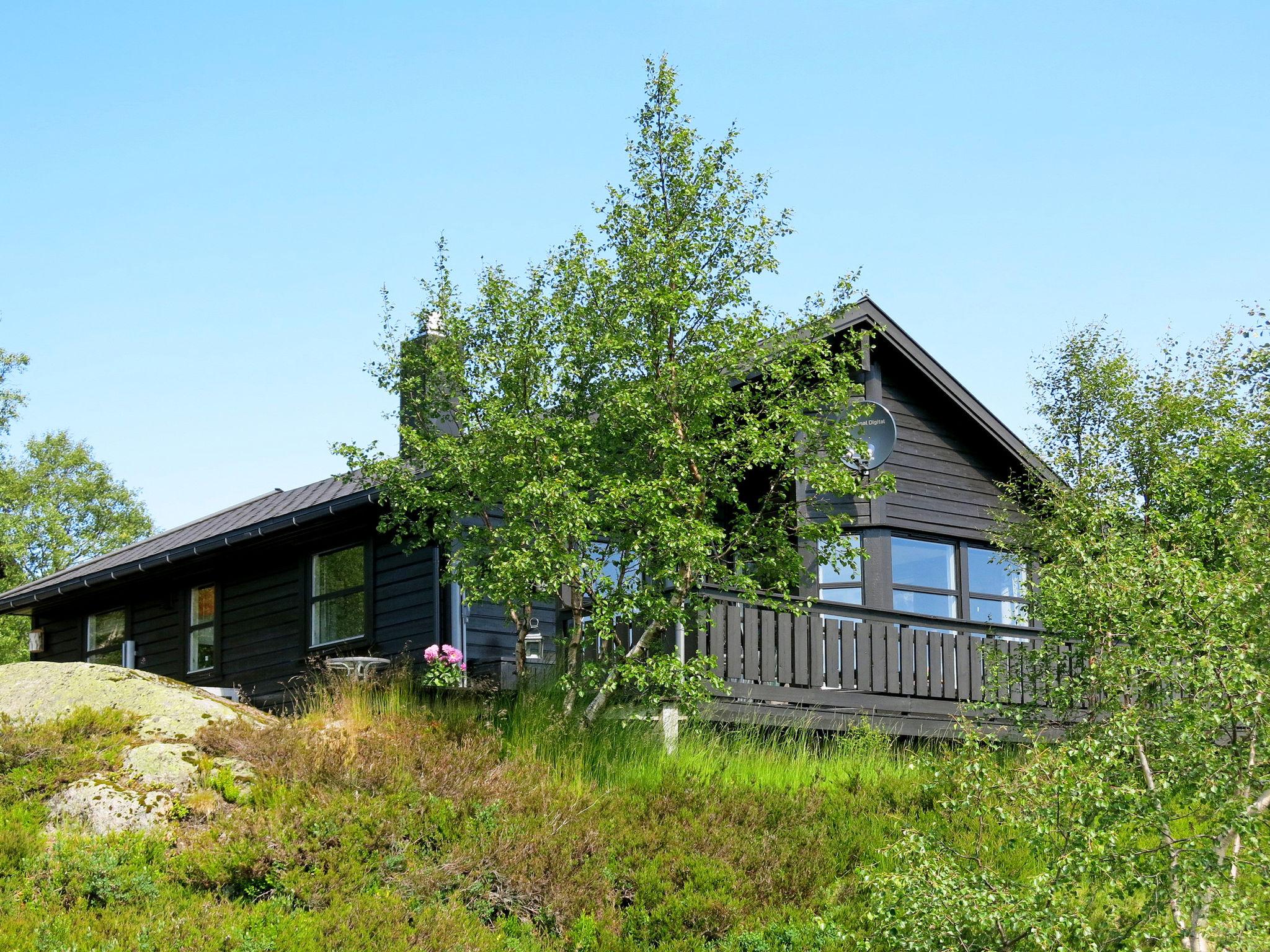 Foto 19 - Casa de 3 quartos em Åseral com terraço