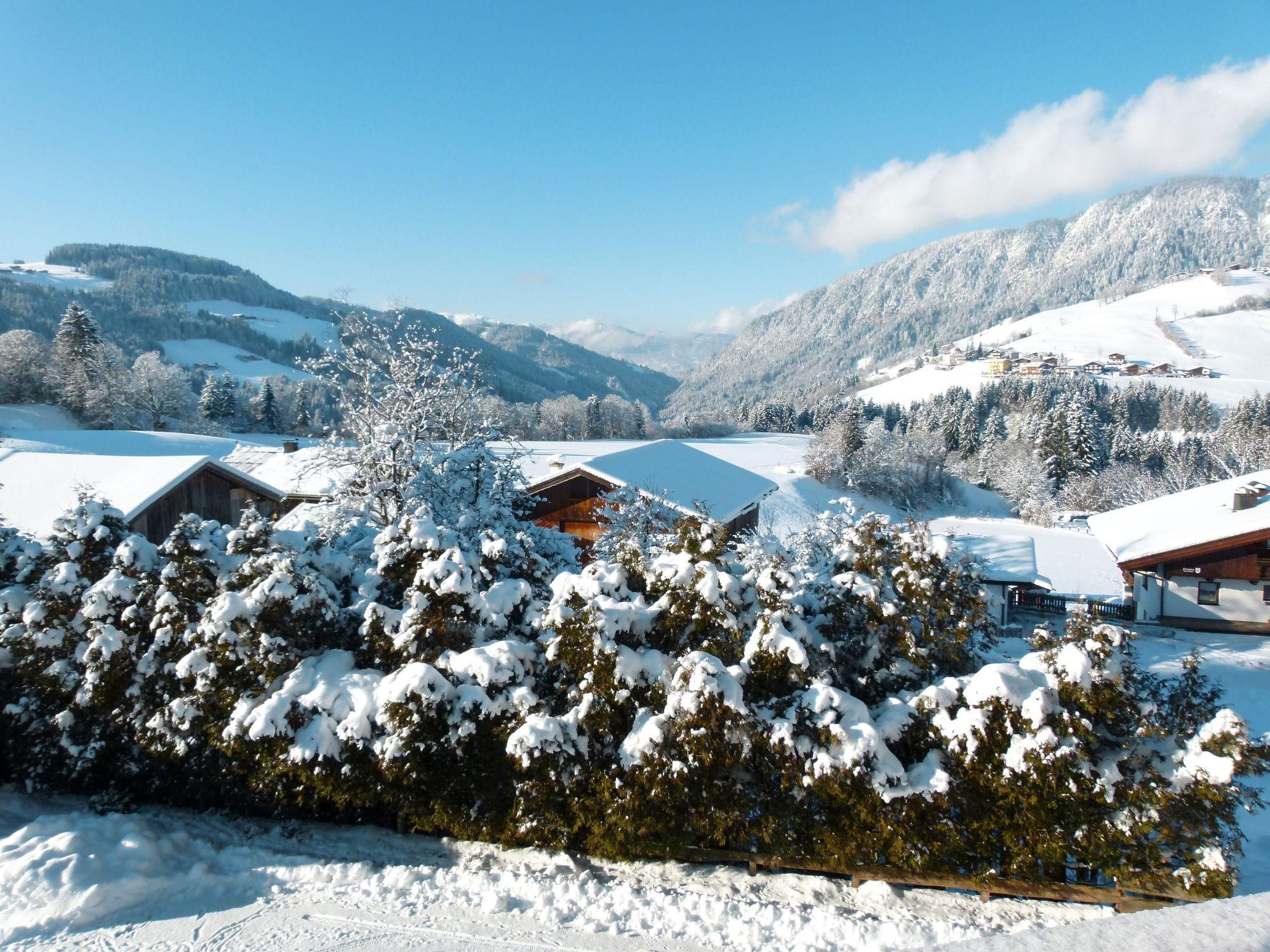 Foto 8 - Appartamento con 6 camere da letto a Wildschönau con vista sulle montagne