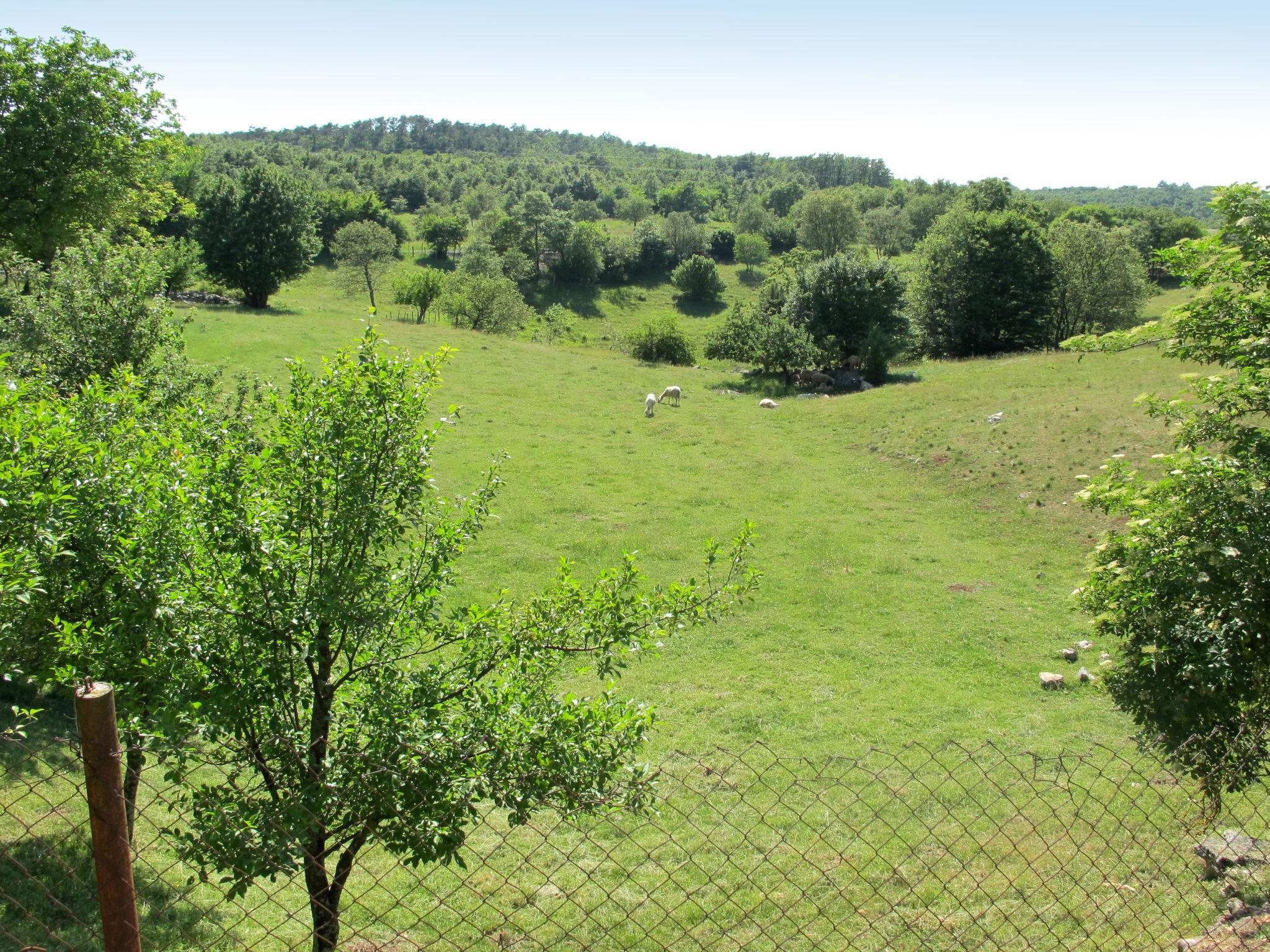 Foto 14 - Casa de 2 quartos em Pazin com jardim e terraço