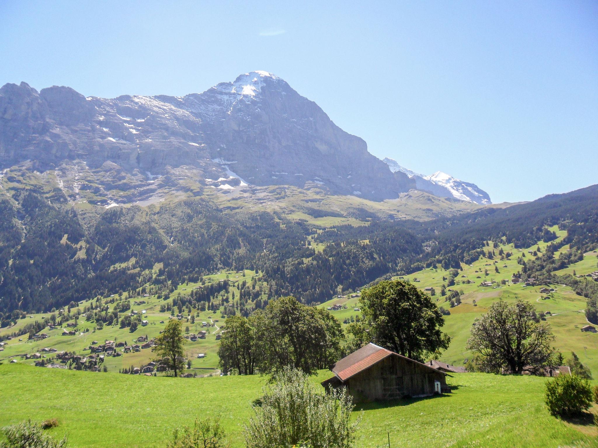 Foto 15 - Apartamento de 3 habitaciones en Grindelwald con jardín y vistas a la montaña