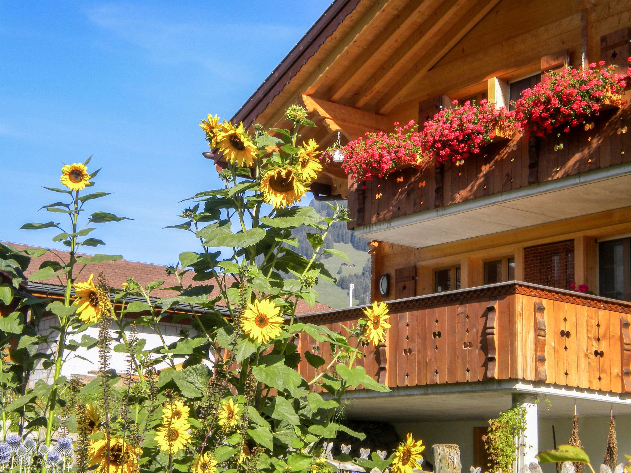 Foto 1 - Appartamento con 3 camere da letto a Grindelwald con giardino e vista sulle montagne