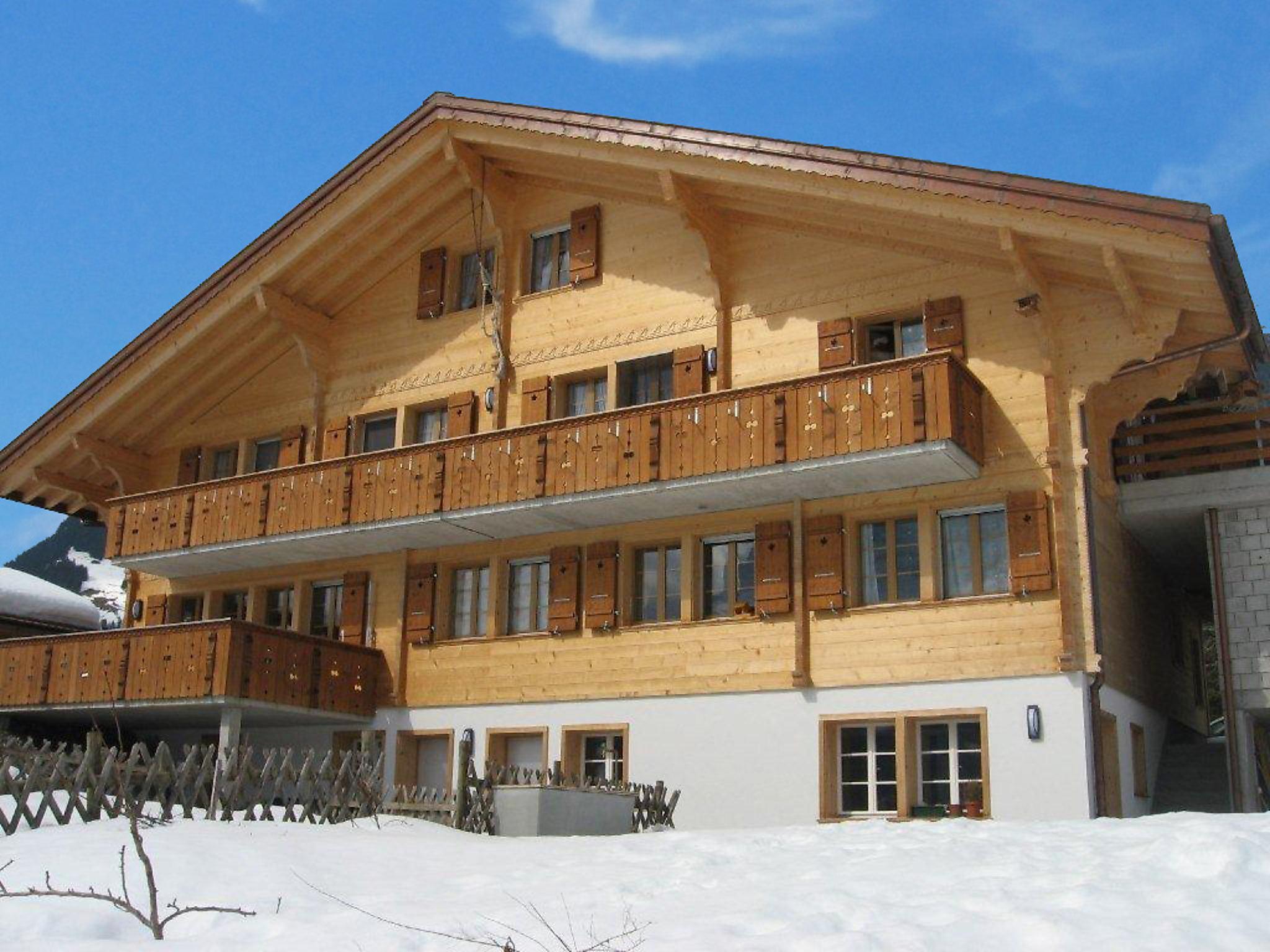 Foto 17 - Apartamento de 3 habitaciones en Grindelwald con jardín y terraza