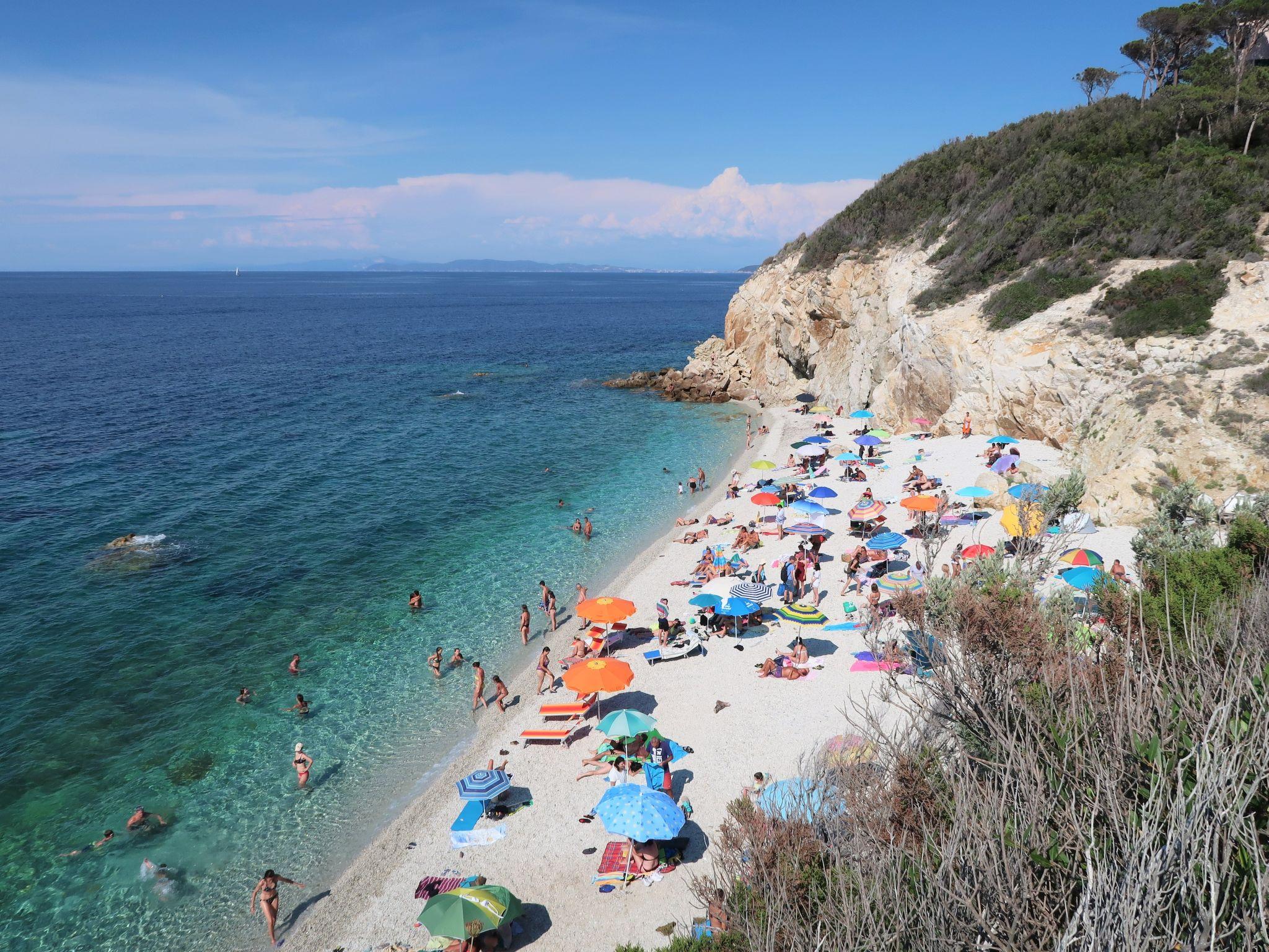 Photo 19 - 1 bedroom Apartment in Portoferraio with garden and terrace