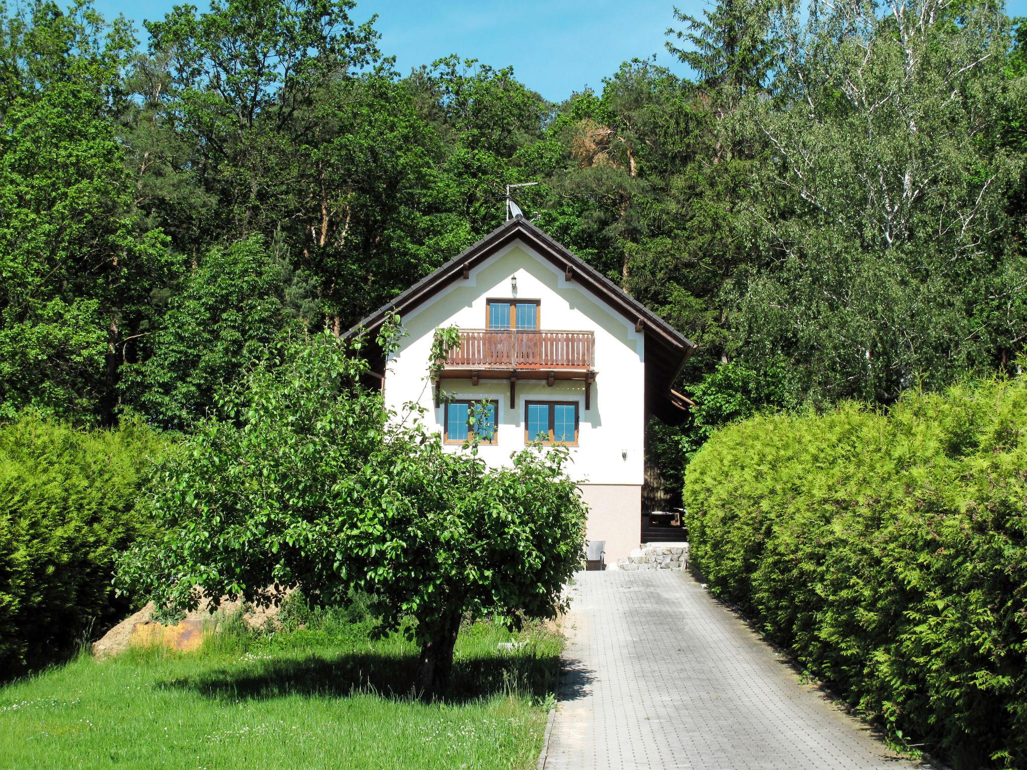 Foto 14 - Casa de 3 quartos em Žabovřesky com piscina privada e terraço