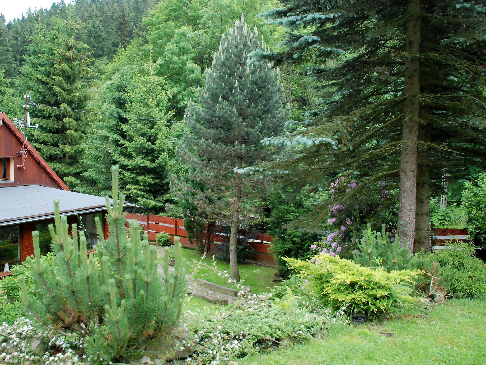 Photo 18 - Maison de 4 chambres à Kowary avec jardin et vues sur la montagne