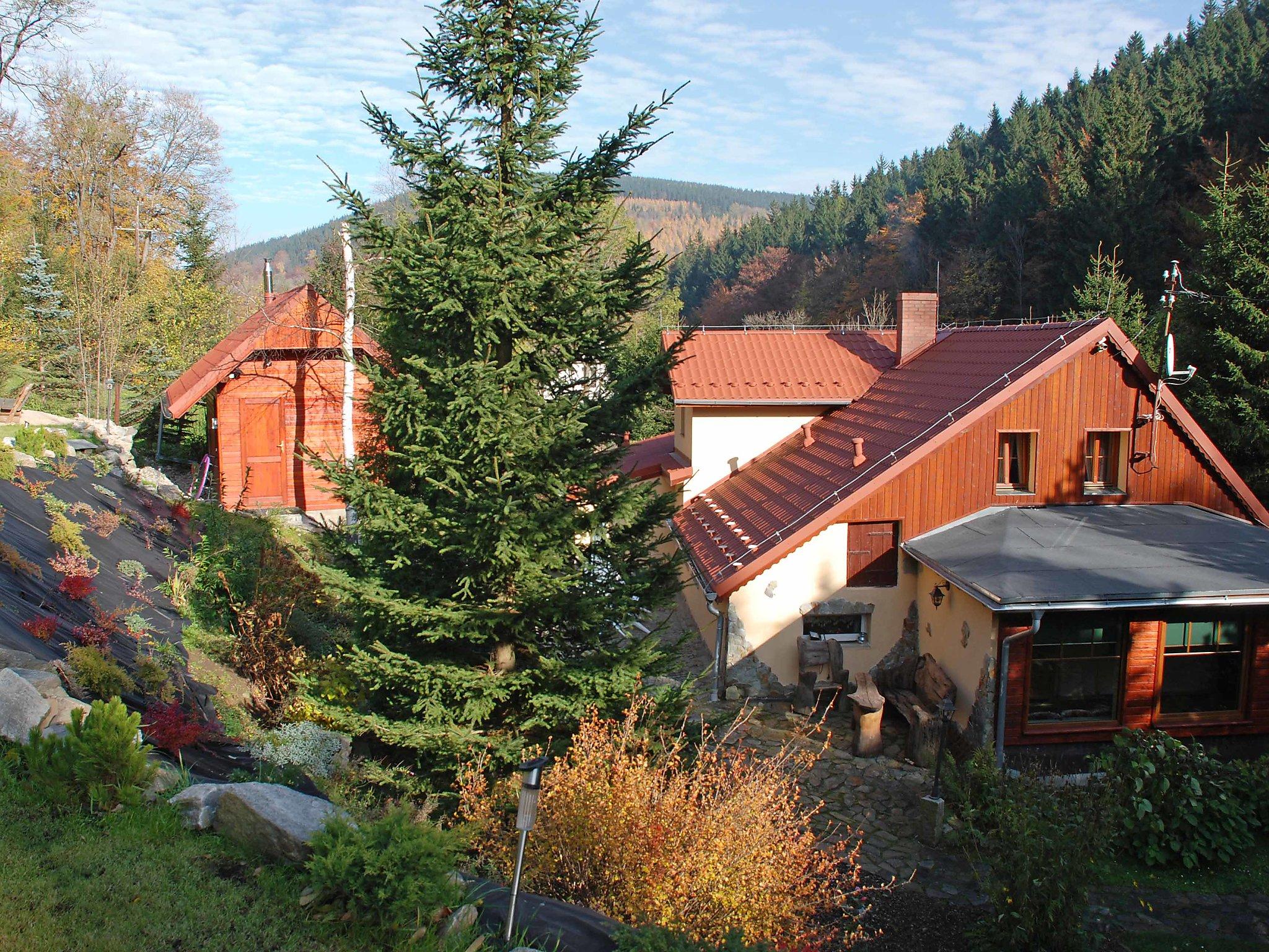 Foto 5 - Casa de 4 habitaciones en Kowary con jardín y vistas a la montaña