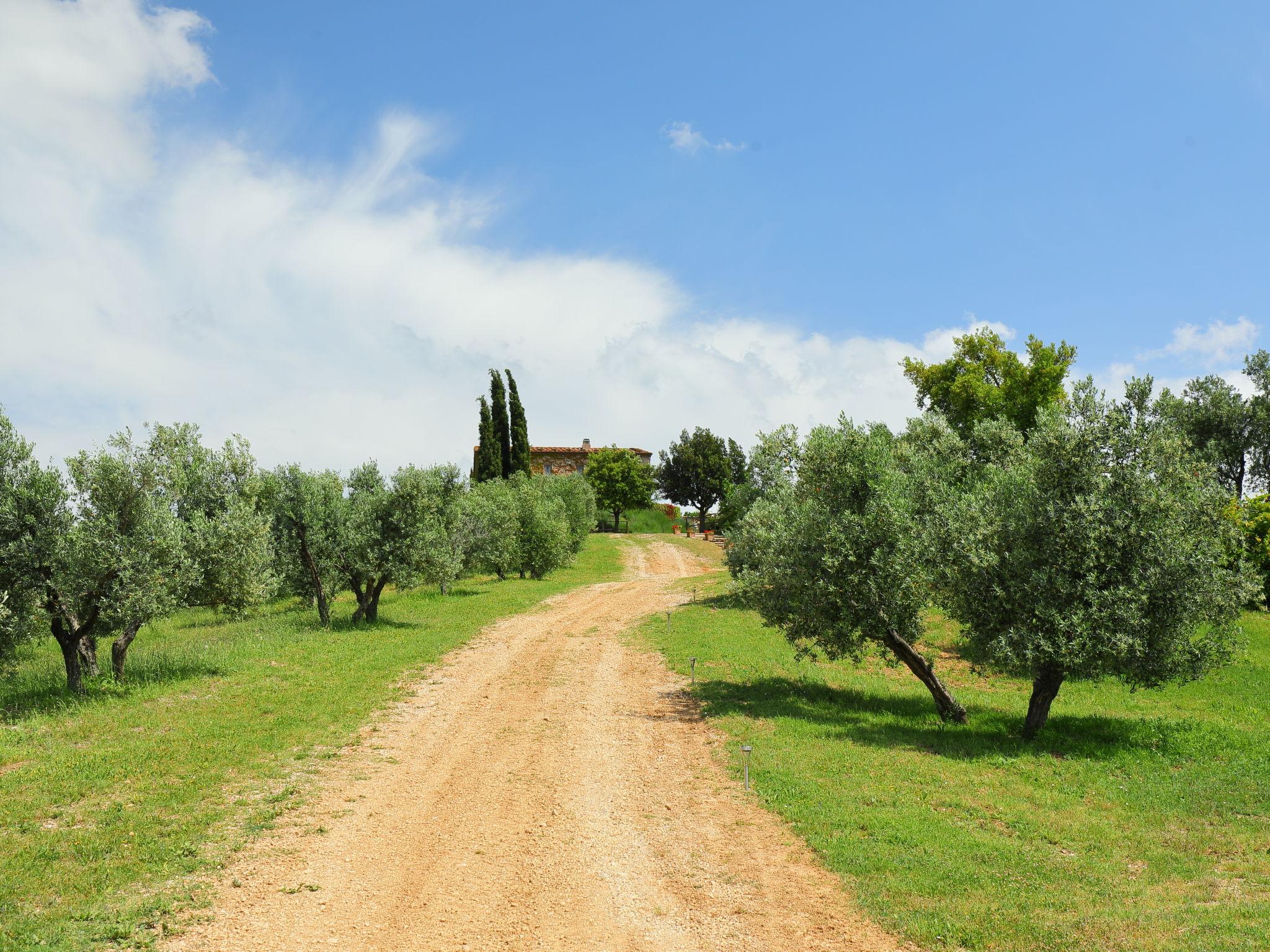 Photo 34 - 5 bedroom House in Scansano with swimming pool and sea view