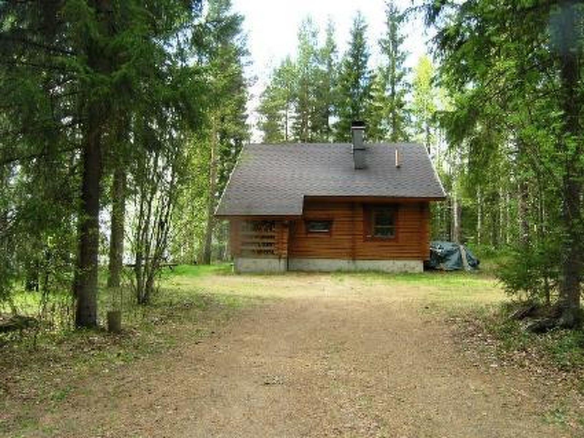 Photo 15 - Maison de 2 chambres à Pielavesi avec sauna