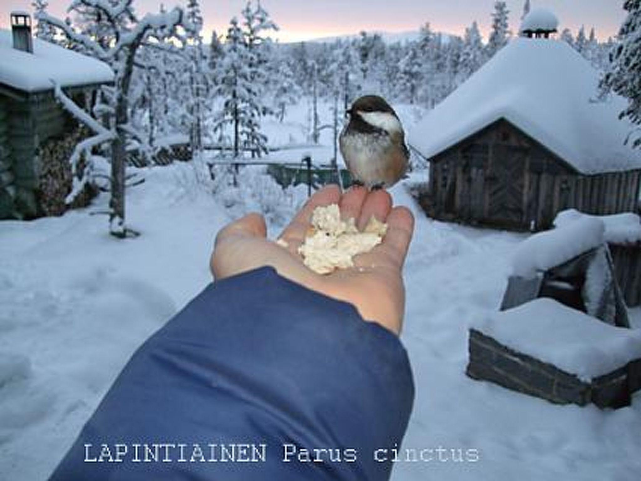 Photo 26 - Maison de 1 chambre à Enontekiö avec sauna et vues sur la montagne