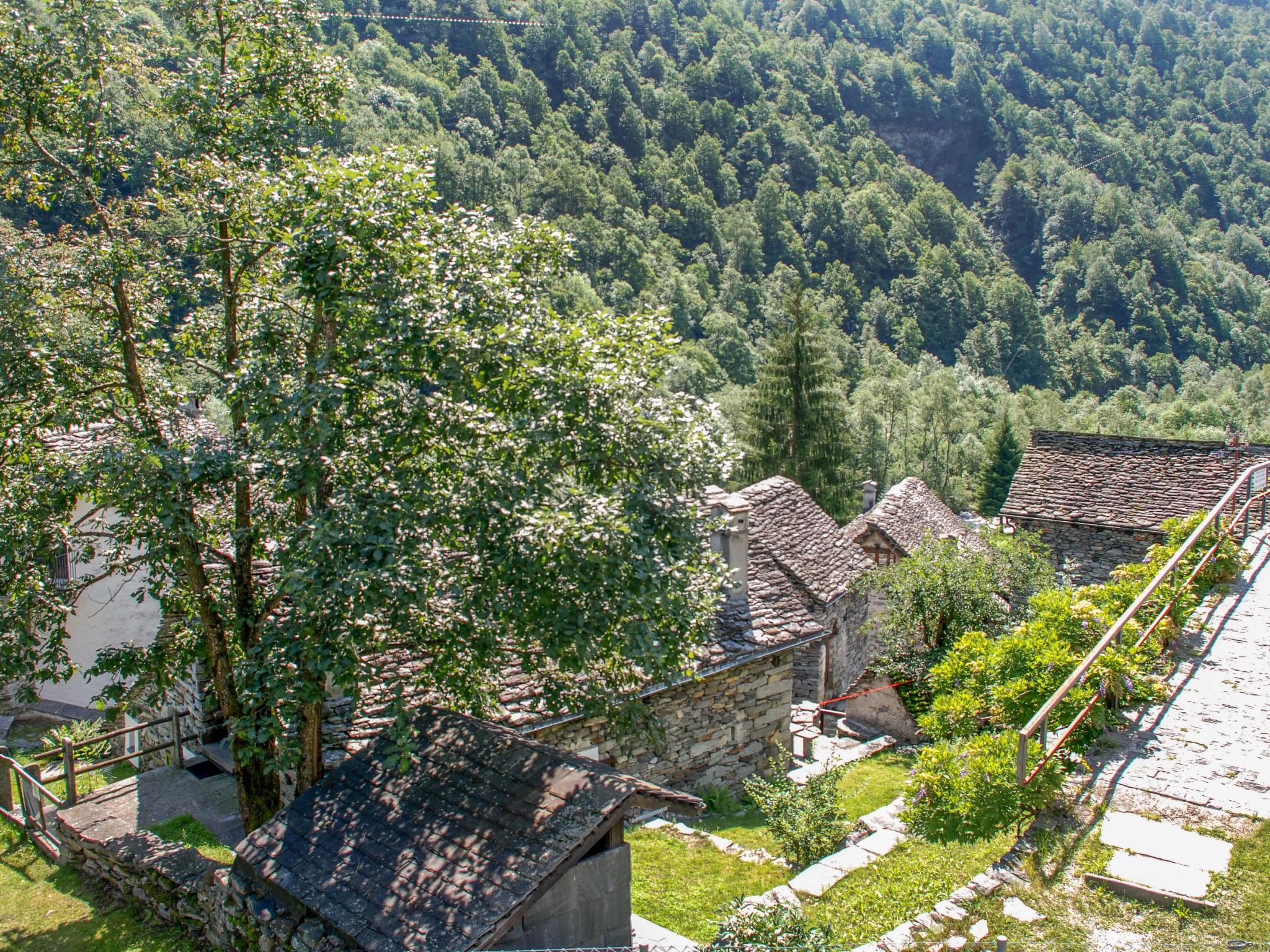 Photo 43 - 3 bedroom House in Verzasca with garden and mountain view