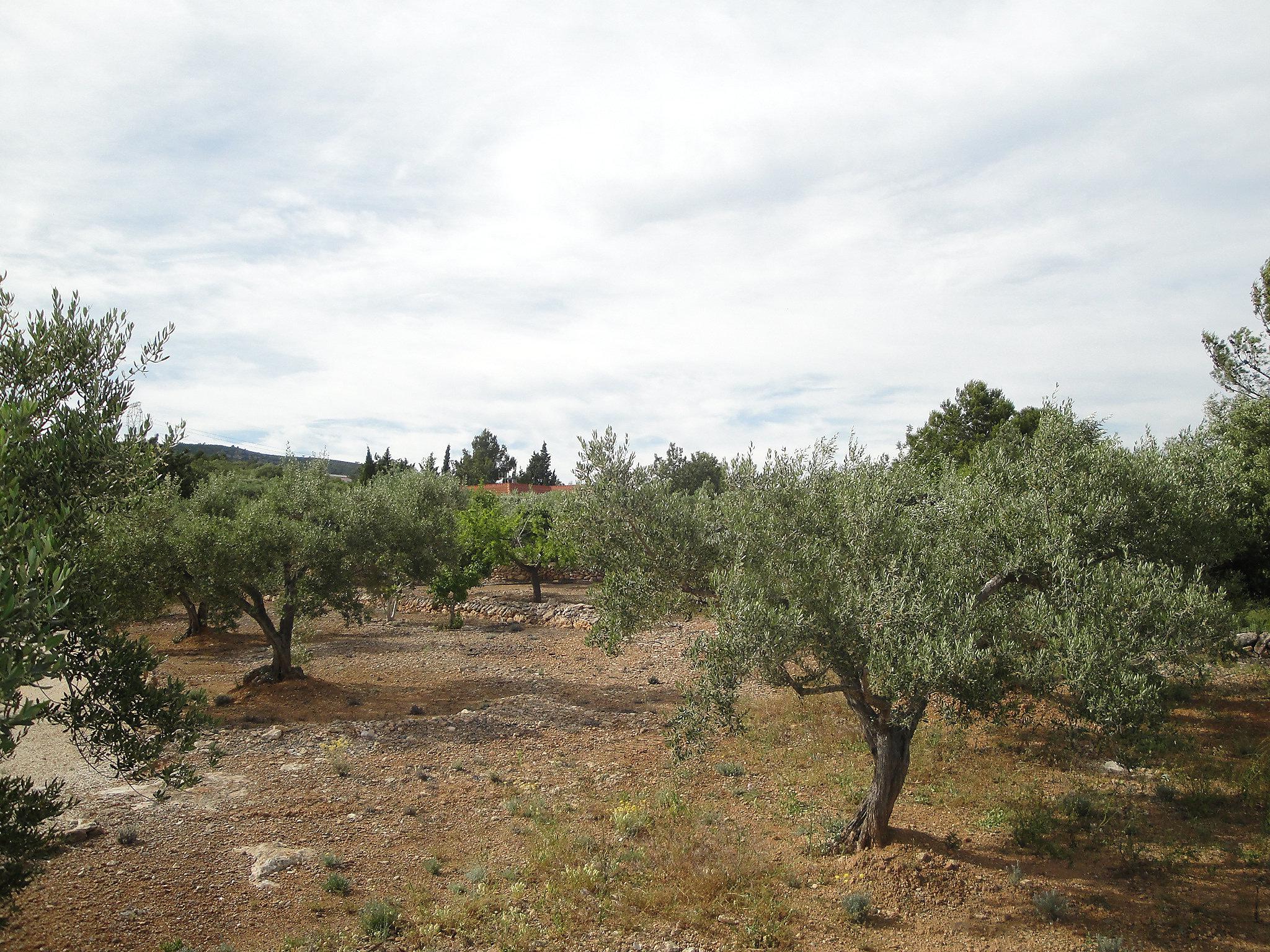 Photo 15 - 4 bedroom House in l'Ampolla with private pool and sea view