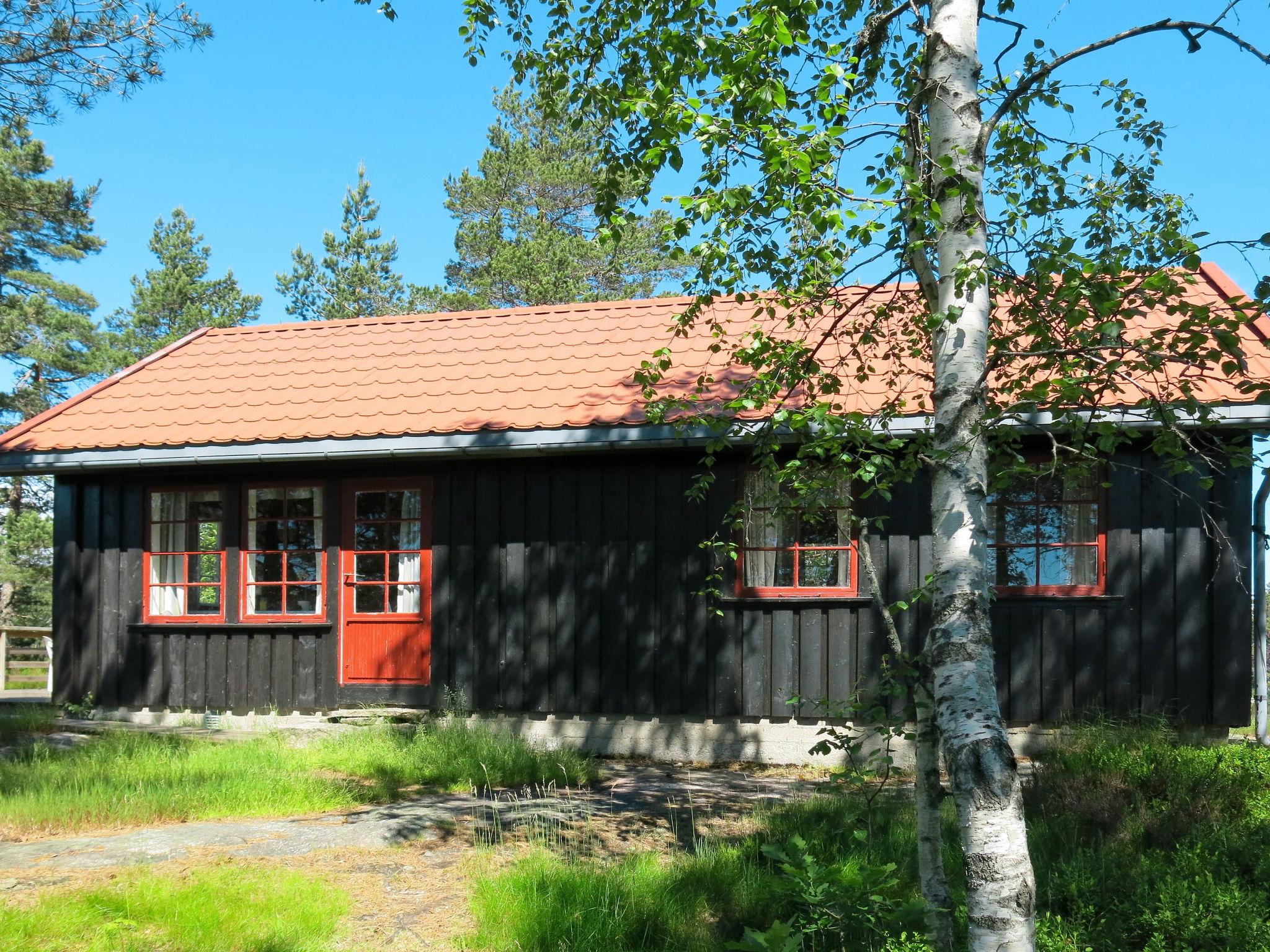 Foto 6 - Haus mit 2 Schlafzimmern in Evje mit terrasse