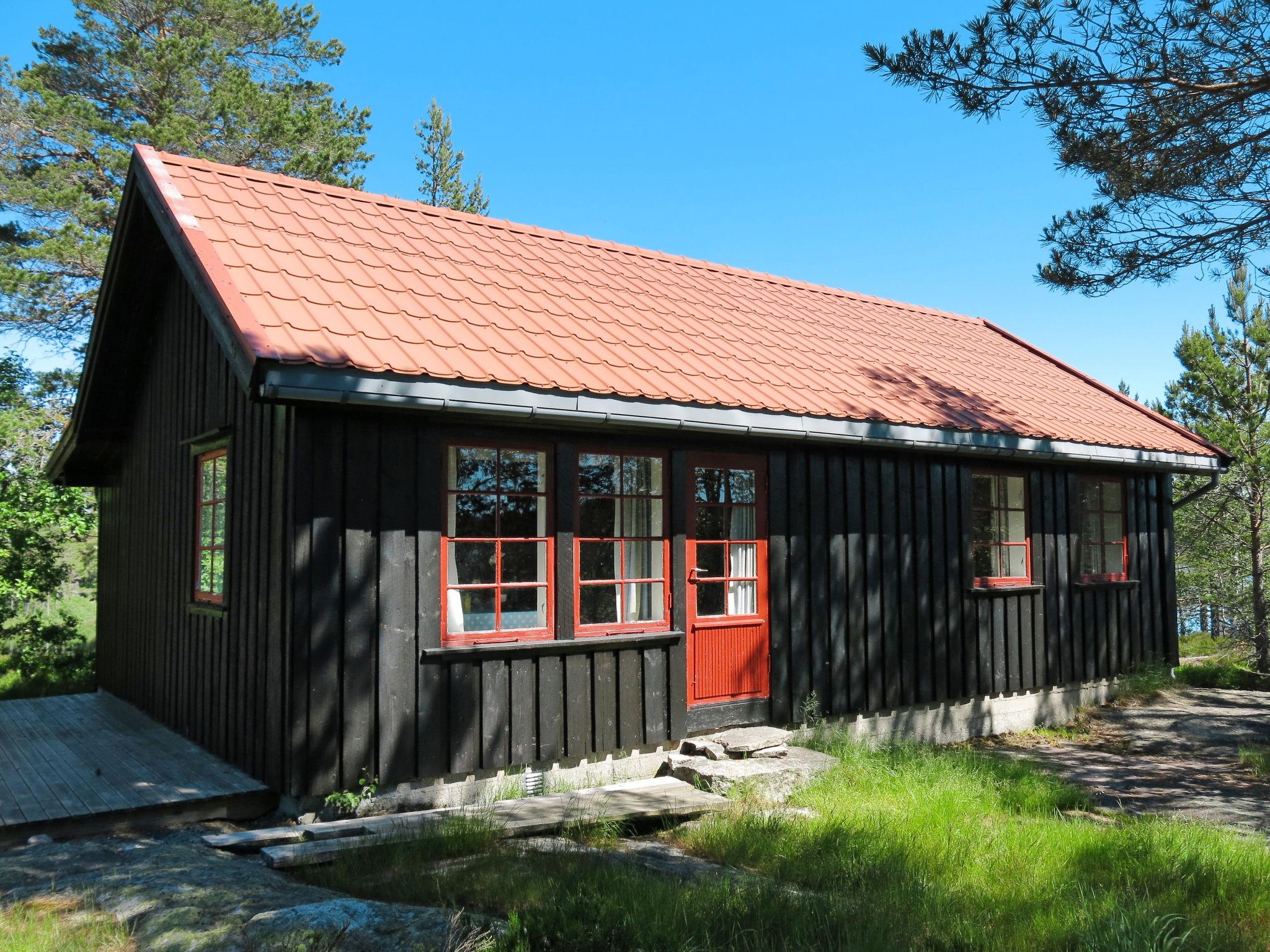 Photo 1 - Maison de 2 chambres à Evje avec terrasse