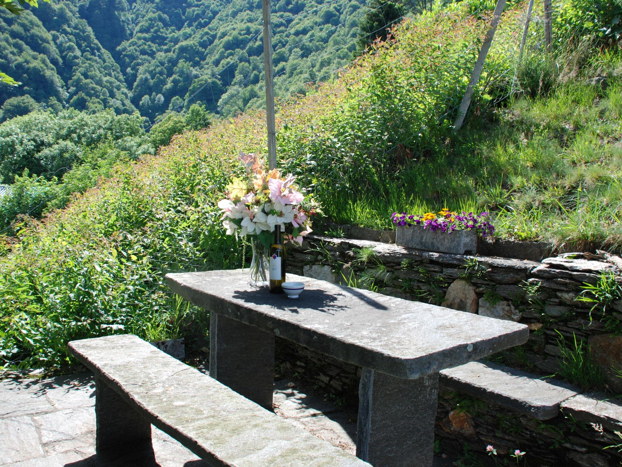 Photo 27 - Maison de 1 chambre à Brissago avec jardin et vues sur la montagne