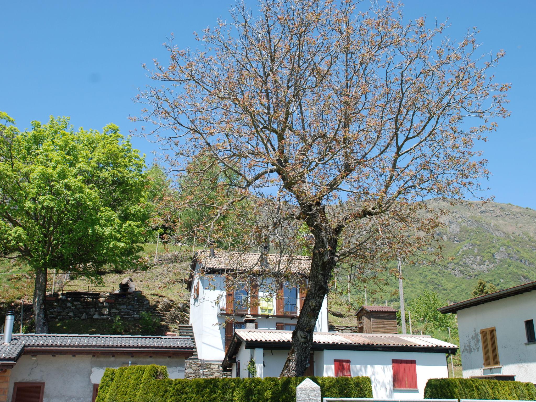 Photo 25 - Maison de 1 chambre à Brissago avec jardin et vues sur la montagne
